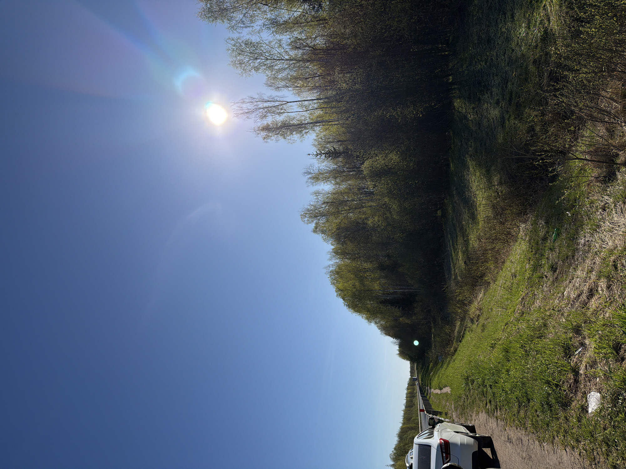 The image shows a sunny day in Люкшудья, Russia. A forest lines the upper right, with green foliage on the trees. The sky is clear blue with the sun visible, creating a lens flare effect. A white car is parked on the lower right edge of what appears to be a roadside area. A grassy path runs alongside the road. The image is taken from a low angle, looking upwards.