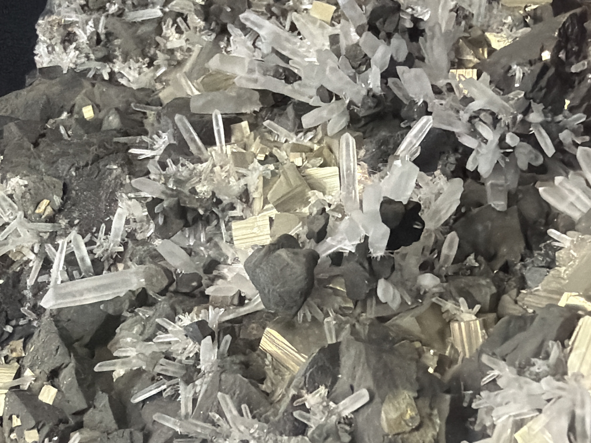 The image displays a close-up, overhead view of a mineral specimen. The specimen is composed of numerous clear, prismatic quartz crystals clustered together with irregular, dark gray rock fragments. Interspersed among the quartz are metallic, brass-colored, cubic mineral crystals, likely pyrite. The overall texture is rough and crystalline, with sharp edges and multifaceted surfaces. The lighting appears to be from above, casting subtle shadows that highlight the crystalline structures. There are no people, actions, or interactions depicted, and no environmental context related to Fort Lauderdale, United States of America is visible within the frame.