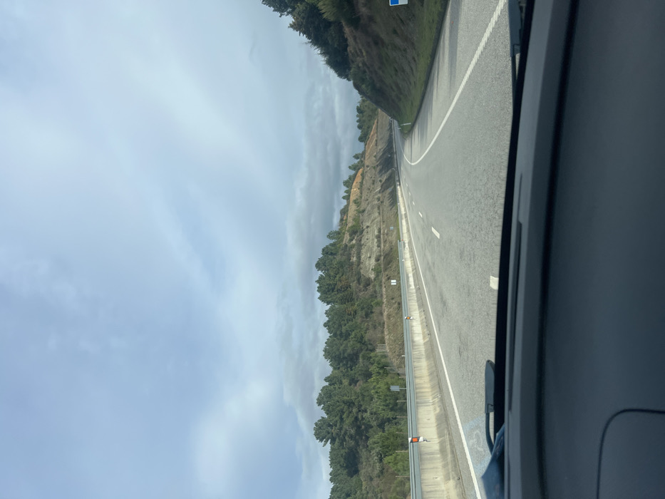 The image depicts a view from the interior of a vehicle traveling on a two-lane asphalt highway in Noura e Palheiros, Portugal, under an overcast sky. The road curves gently to the right and is flanked by hilly terrain. On the left, a concrete barrier separates the road from a steep embankment partially covered with evergreen pine trees and sections of exposed light brown soil. Several orange reflectors are affixed to this barrier. The right side of the road also features an embankment densely covered with evergreen trees, curving along with the highway. A small, partially visible blue sign is present on the far right. The foreground reveals the dark dashboard and the lower edge of the windshield of the moving vehicle, with a slight reflection visible on the glass. No individuals are present in the visible scene.