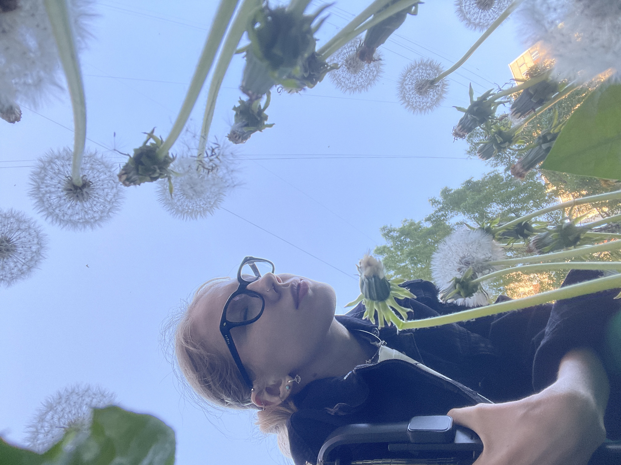 A low-angle shot looking up shows a person lying down, possibly in a wheelchair, surrounded by dandelions. The person has light blonde hair pulled back, wears glasses, and is dressed in a dark jacket. They have multiple ear piercings and a nose ring. The dandelions are at various stages, some with full seed heads and others still in bud. The background is a bright, pale blue sky with faint power lines visible. A building and some trees are visible in the distance. The location is Izhevsk, Russia.