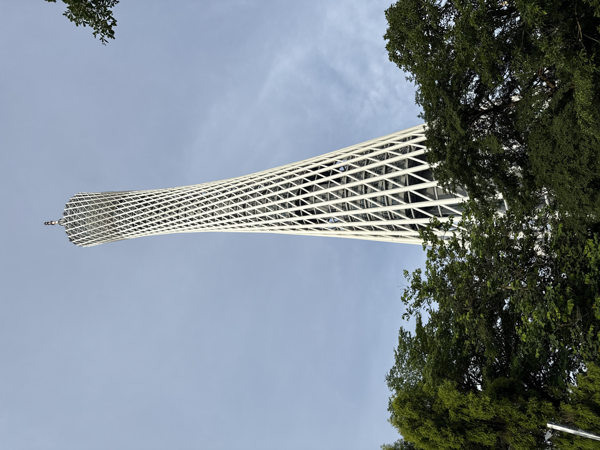 The image shows a low-angle view of the Canton Tower in Haizhu District, China. The tower is a prominent landmark, characterized by its unique twisting lattice structure. The tower is predominantly white and tapers towards the top, where it is crowned with antennas. Green trees with lush foliage partially obscure the base of the tower, framing the lower part of the image. The sky is clear and pale blue, with some faint wispy clouds. The perspective suggests the photo was taken from ground level, looking upwards. There are no people or animals visible in the frame. The scene is static and appears to be a daytime shot.