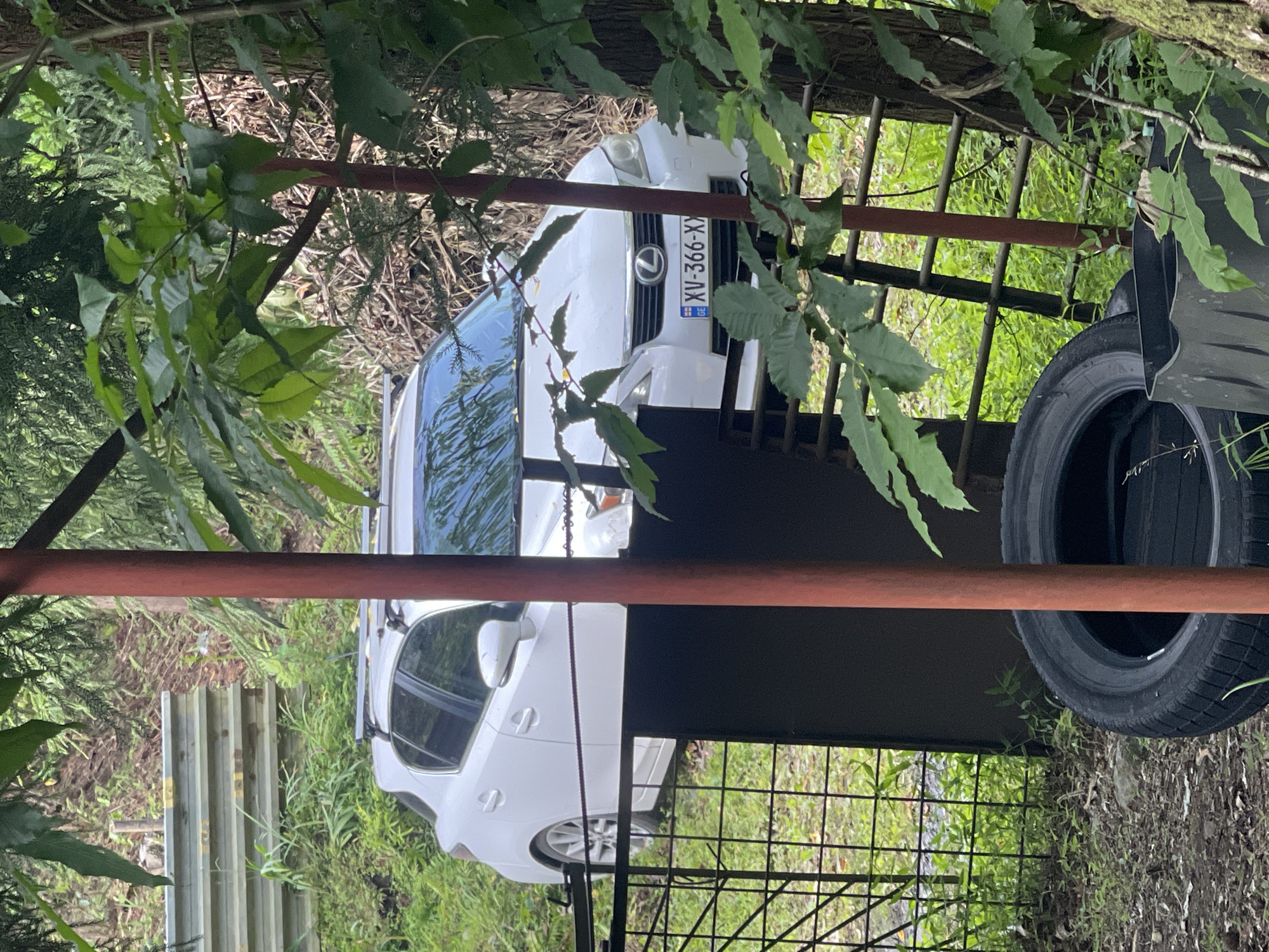 A white Lexus hatchback with a roof rack is parked on a raised platform in a wooded area. The car has the license plate XV-366-XX. A black tire and a dark gray container are on the ground in front of the platform. A metal fence encloses the area. The scene appears to be located in Khala, Georgia, given the license plate format.