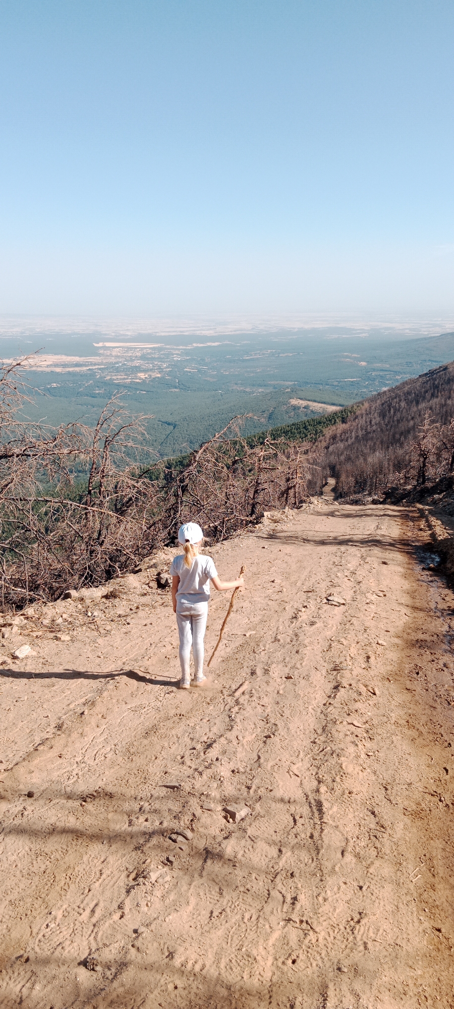 A young girl wearing a white cap, grey t-shirt, and light grey pants walks down a dirt path holding a stick. She is facing away from the camera. The path is wide and appears to be a trail for hiking or off-roading. The surrounding environment is a mountainous region with a clear blue sky. To the left of the path are burnt trees with bare branches, indicating a past forest fire. Beyond the burnt trees, a dense green forest stretches out, and in the distance, a hazy landscape with some buildings can be seen. The ground is covered in sand and loose dirt, with visible tire tracks and footprints. This scene is located in the natural environment of Cerezo de Arriba, Spain, likely a scenic area known for its hiking trails and views.