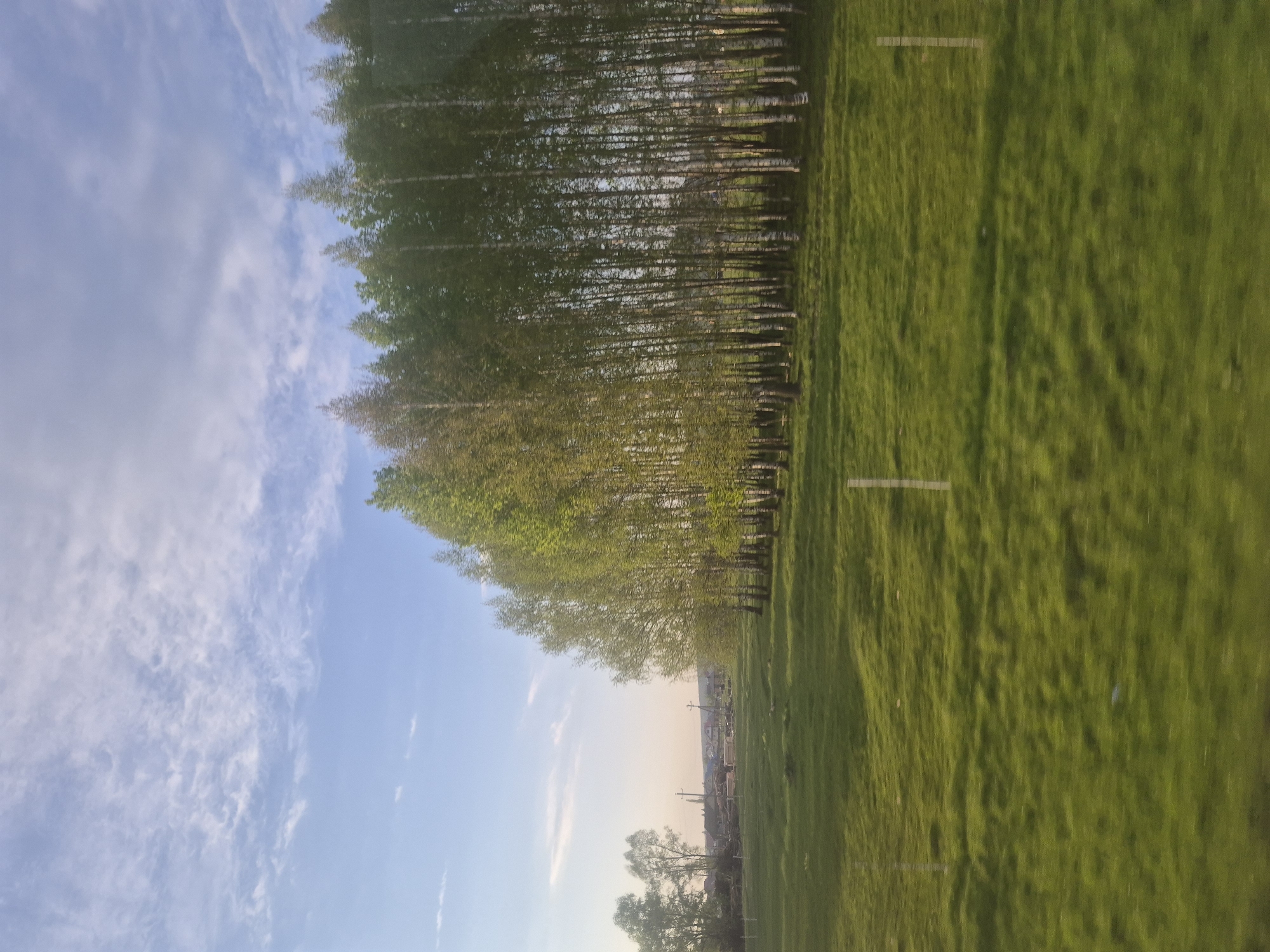 The image depicts a landscape with a line of trees separating a grassy field from a blue sky with scattered clouds. In the distance, structures resembling buildings and power lines can be seen, suggesting the outskirts of a town. The location is Arkhangel'skoe, Russia. The scene appears to be taken during the daytime. No people or animals are visible.