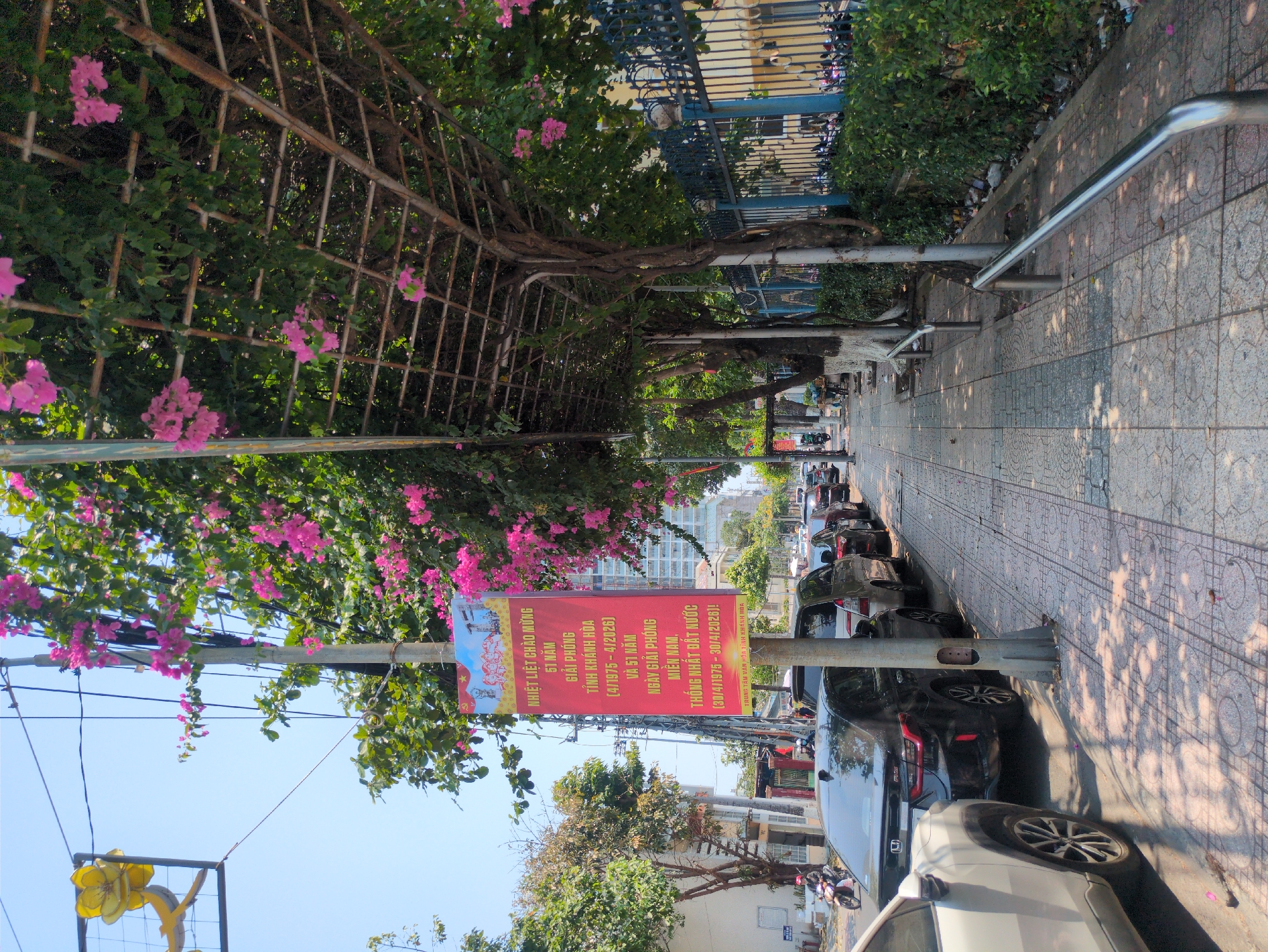 A street scene shows parked cars along a sidewalk in Nha Trang, Vietnam. Overhead, a metal framework supports vines and pink bougainvillea blossoms. A red banner attached to a pole celebrates the 51st anniversary of the liberation of Khanh Hoa province. The sidewalk is paved with patterned tiles. Further down the street, other cars and buildings can be seen. The sky is clear and blue. The scene is bathed in sunlight, casting shadows on the sidewalk. A metal railing runs along the side of the sidewalk.