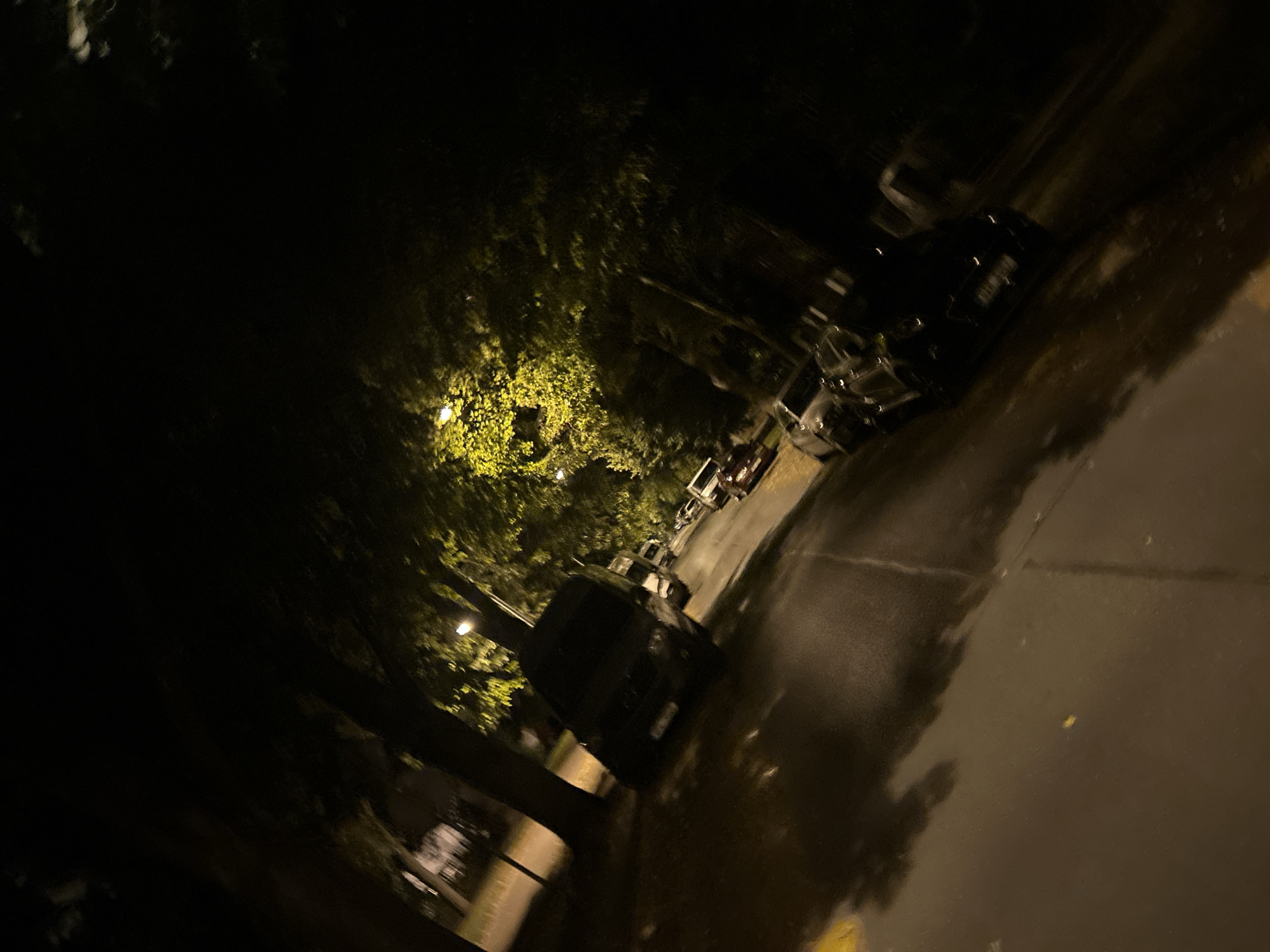 A nighttime street scene in Pilsen, Czechia, shows a row of parked cars on the right side of the image, along a wet asphalt road. The street is illuminated by a streetlamp, casting a yellowish glow on the foliage of trees that overhang the street from the left. The cars are dark-colored and appear to be parked parallel to the curb. The road surface is reflective, suggesting recent rain. The overall atmosphere is dark and somewhat eerie, with the bright yellow of the illuminated leaves contrasting with the deep shadows.