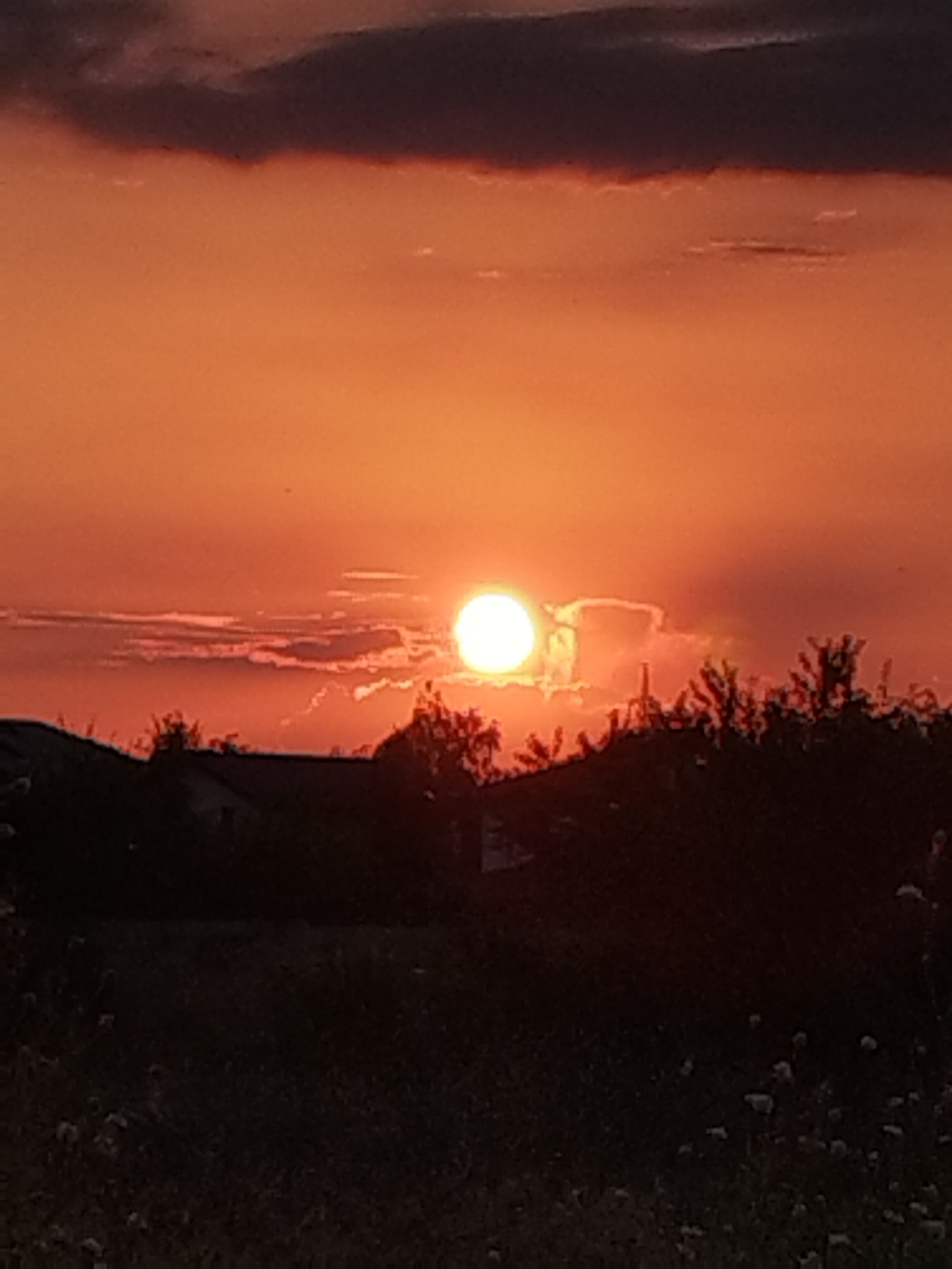 The image depicts a sunset over a rural landscape, likely in Vidra, Romania, given the context provided. The sky is a vibrant orange, with a large, bright sun positioned in the upper center of the frame, partially obscured by wispy clouds. A dark, dense cloud formation stretches across the top of the sky. Silhouetted against the bright sky are the dark outlines of trees and the roofs of houses, suggesting a residential area bordering a natural landscape. The foreground is also dark, with the indistinct shapes of vegetation and perhaps a field. The overall impression is one of a tranquil evening in a rural setting.