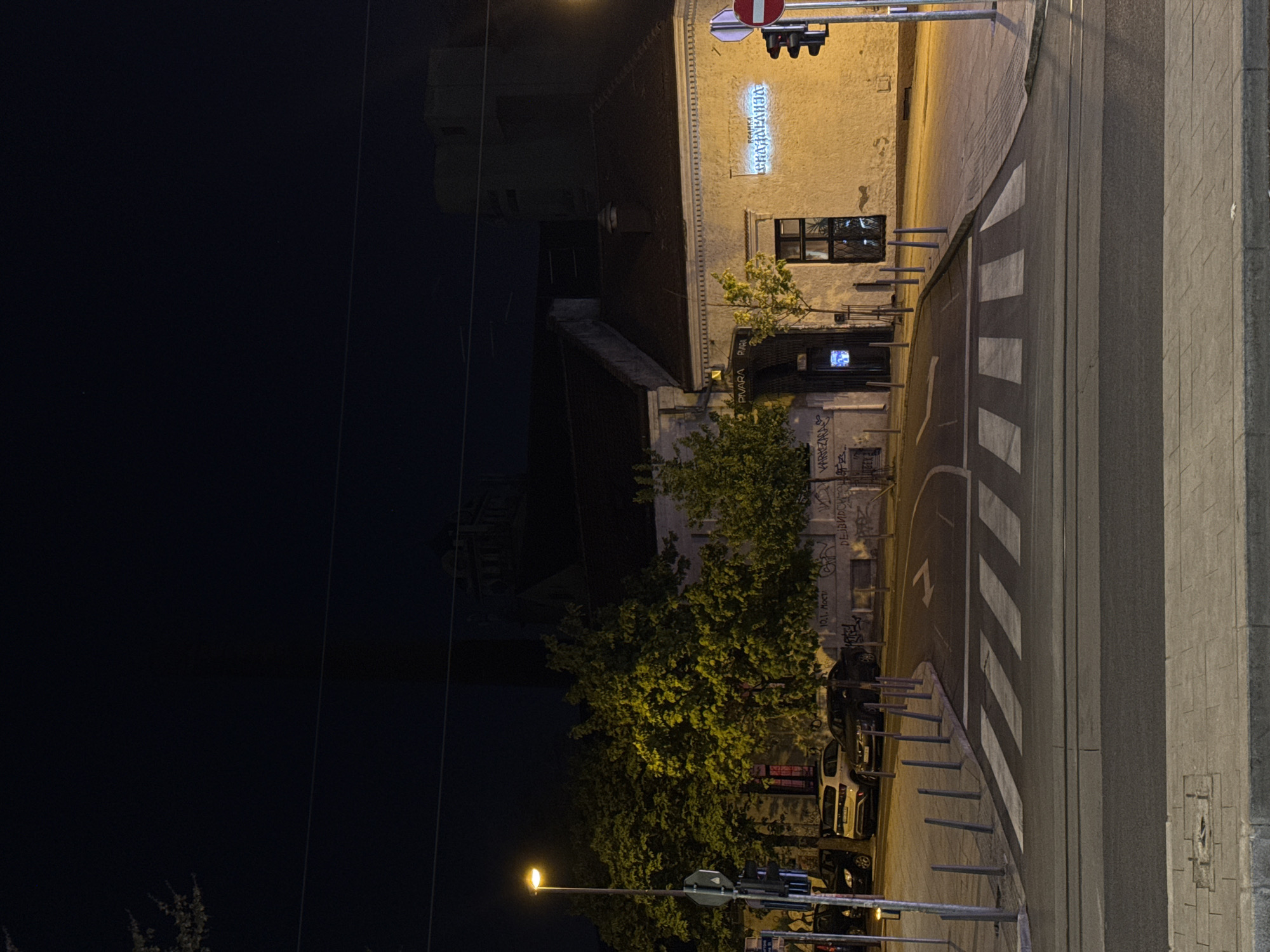 The image captures a nighttime urban street scene, oriented vertically instead of horizontally. The setting appears to be a quiet city street.
In the foreground, a paved street with a clearly marked pedestrian crossing (zebra stripes) is visible, leading to a sidewalk. The sidewalk, constructed from concrete slabs, runs alongside a building on the right side of the frame. A series of short, dark bollards or parking barriers are lined up between the street and a parking area where several cars are partially visible, obscured by trees.
On the right, a multi-story building with a light-colored facade dominates part of the scene. The building features several windows, some reflecting lights from the street. High on its facade, an illuminated sign spells out "DELIRIUM" in a light-blue or white neon-like script. Below this, nearer to the street level, a smaller sign is visible, which appears to say "Pivara" (Serbian for brewery or pub). The lower parts of the building and an adjacent wall are covered in graffiti, with discernible text including "VARVARSKA" and "12.1. NOCI".
To the left of the building, a large, leafy tree stands, illuminated by streetlights. Another streetlight with a bright yellow glow is visible further down the street on the left. The sky is dark, indicating late night. Thin wires or cables crisscross the upper left portion of the dark sky. A traffic light fixture, showing a red signal or stop sign, is mounted on a pole near the top of the frame.
The scene is devoid of people, creating a still and quiet atmosphere. The artificial lighting from streetlights and building signs provides the primary illumination. The architecture and visible text cues ("Pivara", "VARVARSKA") are consistent with an urban environment in Belgrade, Serbia.