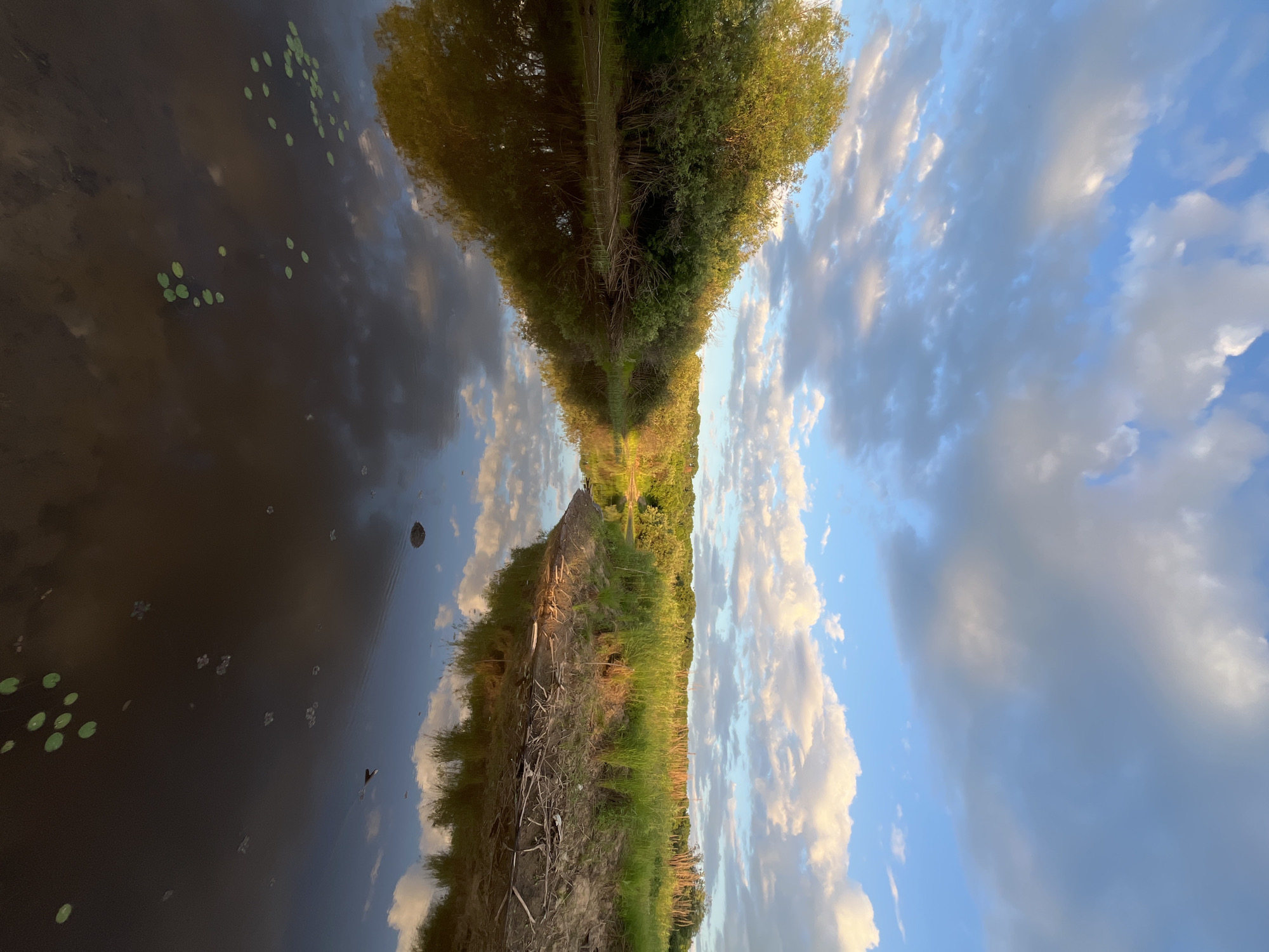 This is a photograph of a river with trees and tall grass on its banks, under a cloudy blue sky. The water reflects the sky and vegetation. The scene appears to be a natural landscape in the city of Mayak, Russia. There are no people or animals visible in the photograph. The lighting suggests it might be late afternoon or early evening.