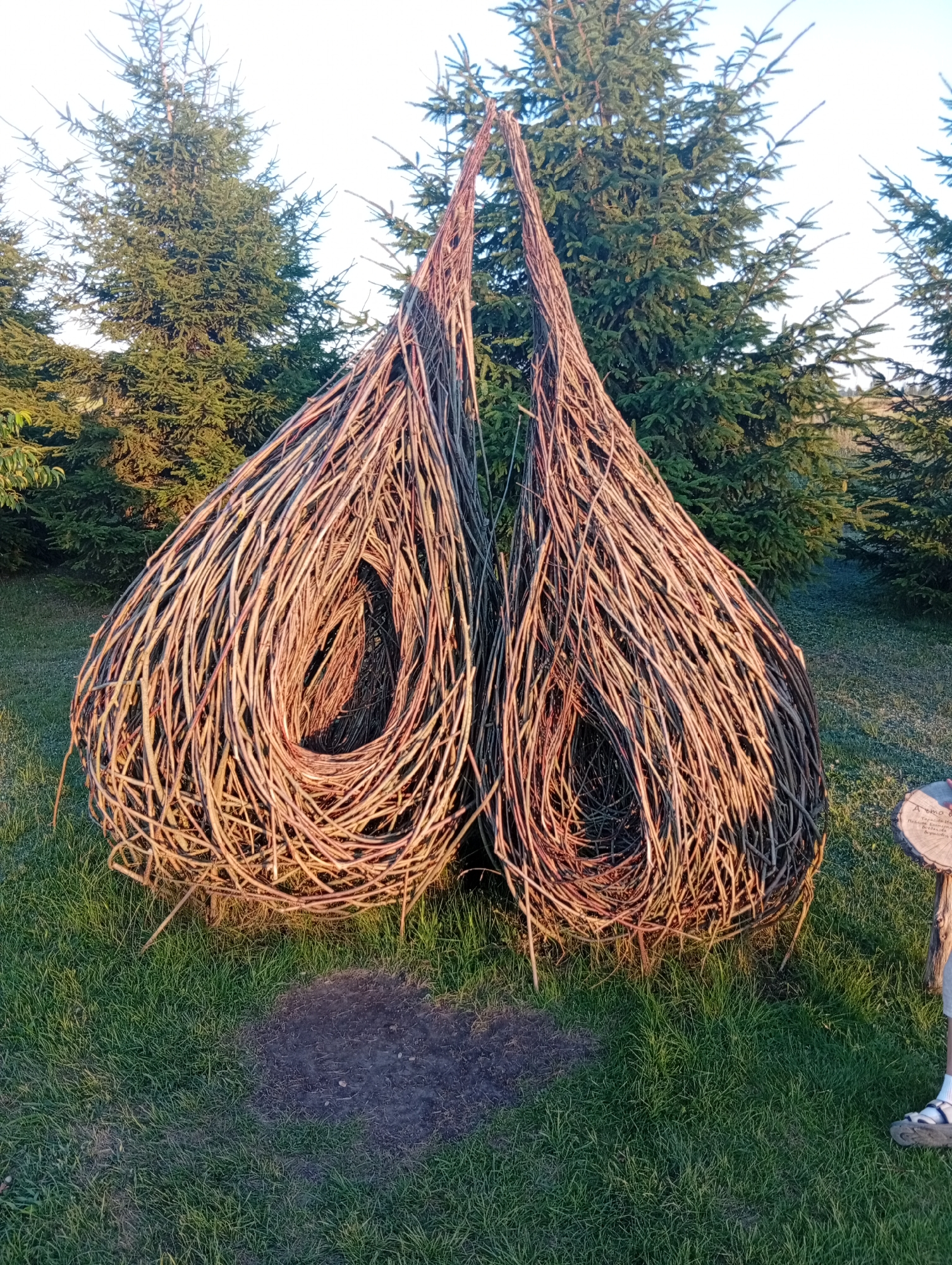 The media file displays an outdoor scene with two large, tear-drop shaped sculptures made of woven branches. These sculptures are the primary subjects, positioned in the center of the frame. Behind them, a line of evergreen trees forms a dense backdrop, suggesting a natural or park-like setting. The ground is covered in green grass, with a small patch of darker soil in the foreground. Sunlight casts warm shadows, indicating it is likely late afternoon or early morning.
A small, circular plaque with visible text is attached to a wooden post on the right side of the image. While the text is partially legible, it appears to be in Belarusian. The plaque might be a marker or information sign related to the sculptures or the location. There is a person's leg and foot visible on the far right of the image, wearing sandals and socks, suggesting human presence in the scene. The overall mood is serene and perhaps contemplative, given the artistic nature of the sculptures and the peaceful natural surroundings. The location is identified as Malakhovetski Sel'ski Savet, Belarus, which provides geographical context. No specific activity or event is depicted, but the sculptures suggest an artistic installation or a point of interest in a public space.