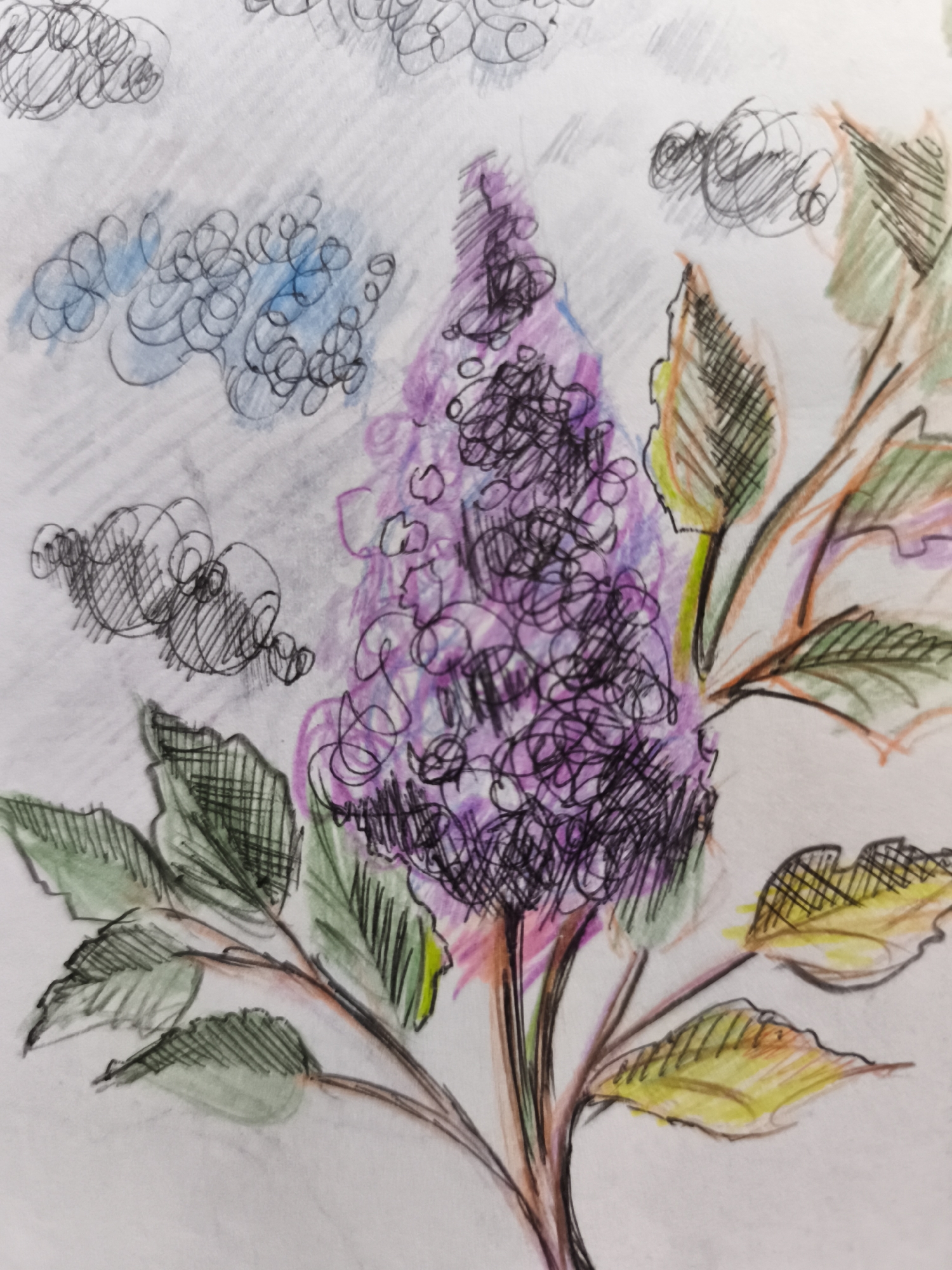 The image is a colored pencil sketch on paper depicting a cluster of purple flowers, likely lilacs, with green and yellow leaves and branches. The background features abstract, scribbled shapes in gray, blue, and purple, suggesting clouds or other atmospheric elements. The style is loose and impressionistic, with visible pencil strokes and a somewhat unfinished quality. The drawing does not contain any discernible elements that would allow for its location to be identified within the city of Saint-Denis, France, or any other specific geographical location. There are no people, objects, or environmental features indicative of a particular place.