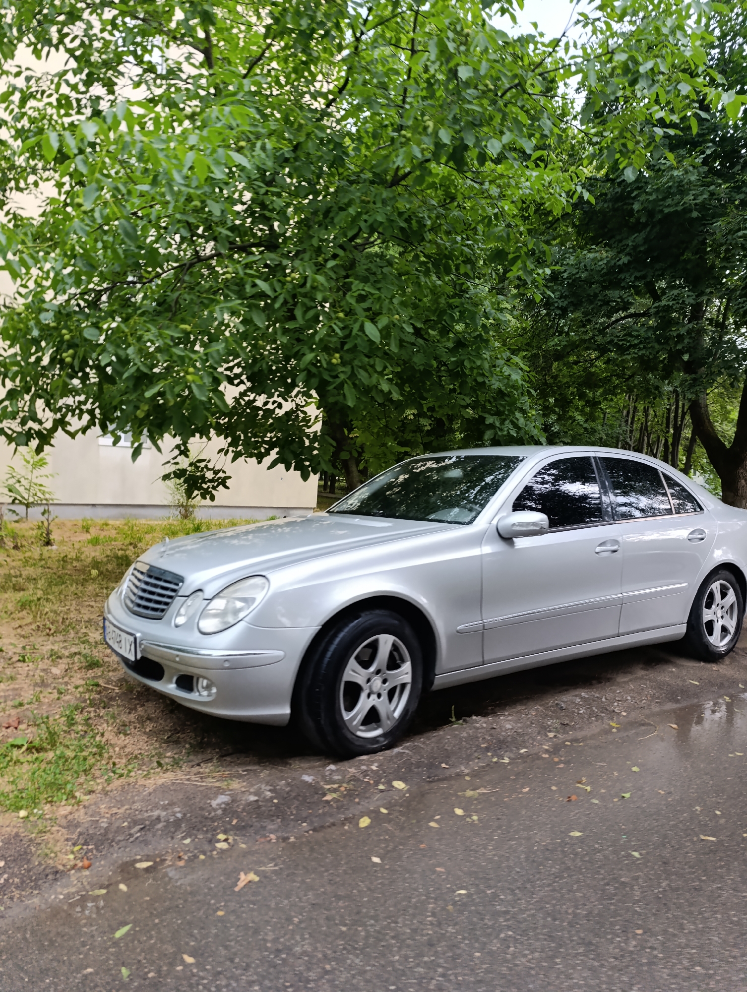 A silver Mercedes-Benz sedan is parked on a wet asphalt road in front of a pale yellow building. The car is angled towards the viewer, with its front left quarter prominently displayed. Lush green trees with dense foliage overhang the scene, casting shadows on the car and the ground. The building in the background appears to be an apartment complex. The sky is overcast, suggesting a cloudy or rainy day. There are no people visible in the image. The license plate on the car is partially obscured. The overall scene depicts a quiet, urban street in Ladyzhyn, Ukraine, likely during daytime.