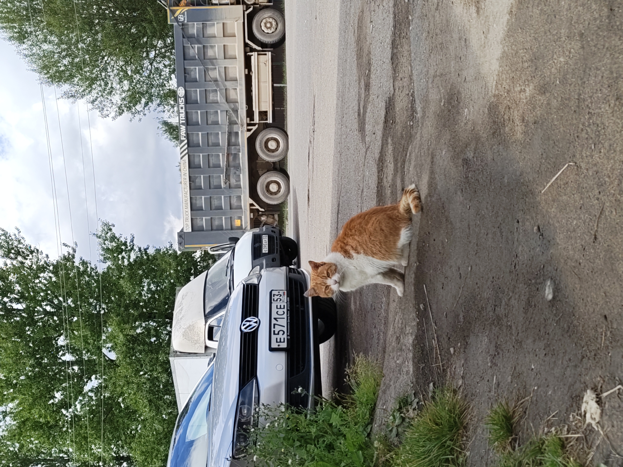 An orange and white cat is sitting on a dirt and asphalt surface in front of a silver Volkswagen car, a white van, and a large dump truck. The car's license plate reads "E571CE 53". The dump truck has "FAW TRUCKS" written on its side. The scene is outdoors, with trees and power lines visible in the background. The environment appears to be an industrial or service area, possibly near a roadside in Okulovka, Russia. The cat is looking towards the camera, and its body is partially turned to its left. The vehicles are parked.