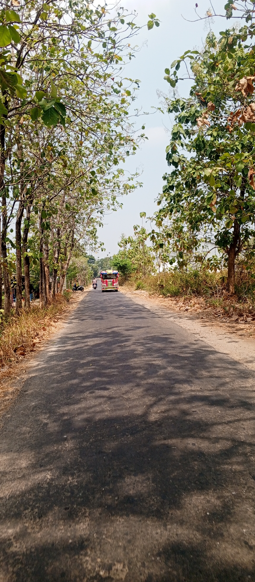 In the city of Gulun, Indonesia, a scenic paved road runs through a sparsely populated area. On either side of the road, a line of trees with sparse green and brown foliage create a natural canopy, casting dappled shadows on the asphalt. The road is empty except for a red and yellow bus in the distance, traveling away from the viewer. A single motorcycle is parked on the side of the road, and a lone figure rides another motorcycle in the same direction as the bus. The sky is clear and bright, suggesting a sunny day. The dry, brown grass and leaves on the side of the road indicate a dry season.