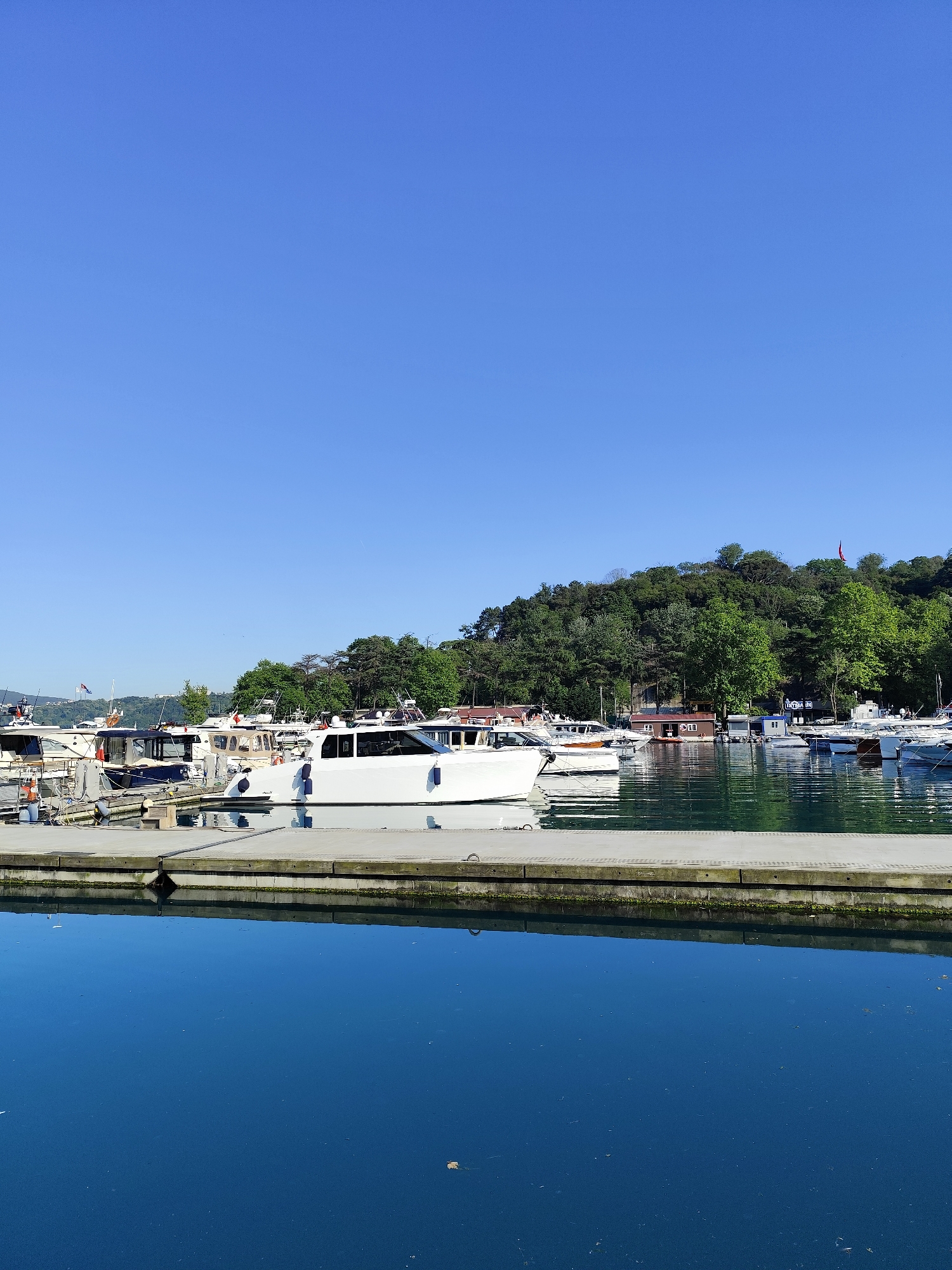 The image presents a serene marina scene under a clear, bright blue sky, indicating a sunny day, likely morning or early afternoon, with fair weather. Numerous boats and yachts are moored along concrete docks. In the immediate foreground, a wide concrete pier runs horizontally across the frame, with its reflection clearly visible in the calm, deep blue water below.
The most prominent subject is a modern, white motor yacht, prominently docked in the mid-ground. Several other vessels of various designs and sizes, including cabin cruisers and smaller boats, are also visible, neatly lined up in the marina. The water surface near the docks shows beautiful reflections of the boats and the surrounding greenery.
A lush, densely tree-covered hill forms the backdrop, rising steeply behind the marina and providing a vibrant green contrast to the blue sky and water. Small structures and buildings are nestled among the trees on the hillside, typical of waterfront developments. A red flag, possibly the Turkish national flag, is visible flying on a pole atop the hill towards the right. On a blue sign affixed to a small white structure situated among the trees, the text "UYSAL BALIK" is faintly discernible. The overall scene conveys a peaceful and leisurely atmosphere in a picturesque coastal setting, consistent with Sarıyer, Turkey.