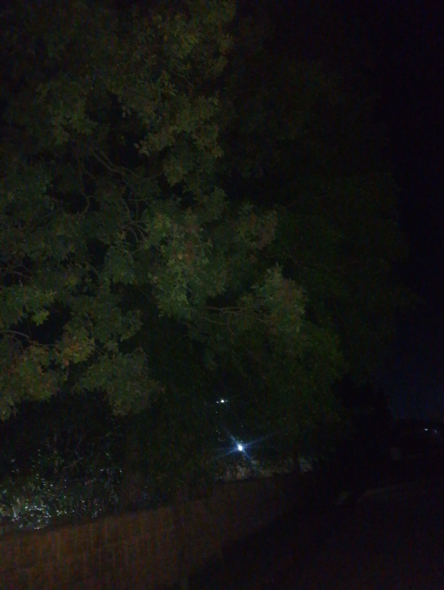 The image depicts a dark outdoor scene, possibly at night, dominated by the foliage of a tree in the foreground, which is heavily shadowed. The leaves are a mix of green and some reddish-brown hues, suggesting autumn or a similar seasonal change. The background is almost entirely black, indicating a lack of significant ambient light. There are a few faint, diffused lights visible in the distance, appearing as small, bright specks, which could be distant streetlights or lights from buildings. The bottom portion of the image shows a darker, textured area that might be a wall or a textured ground surface, also poorly illuminated. The overall impression is one of a dimly lit, natural or semi-natural environment within a city, with the dense tree canopy obscuring any clearer view of the surroundings. The image does not contain any discernible people, animals, or specific landmarks that would allow for precise identification of the location within Jos, Nigeria.