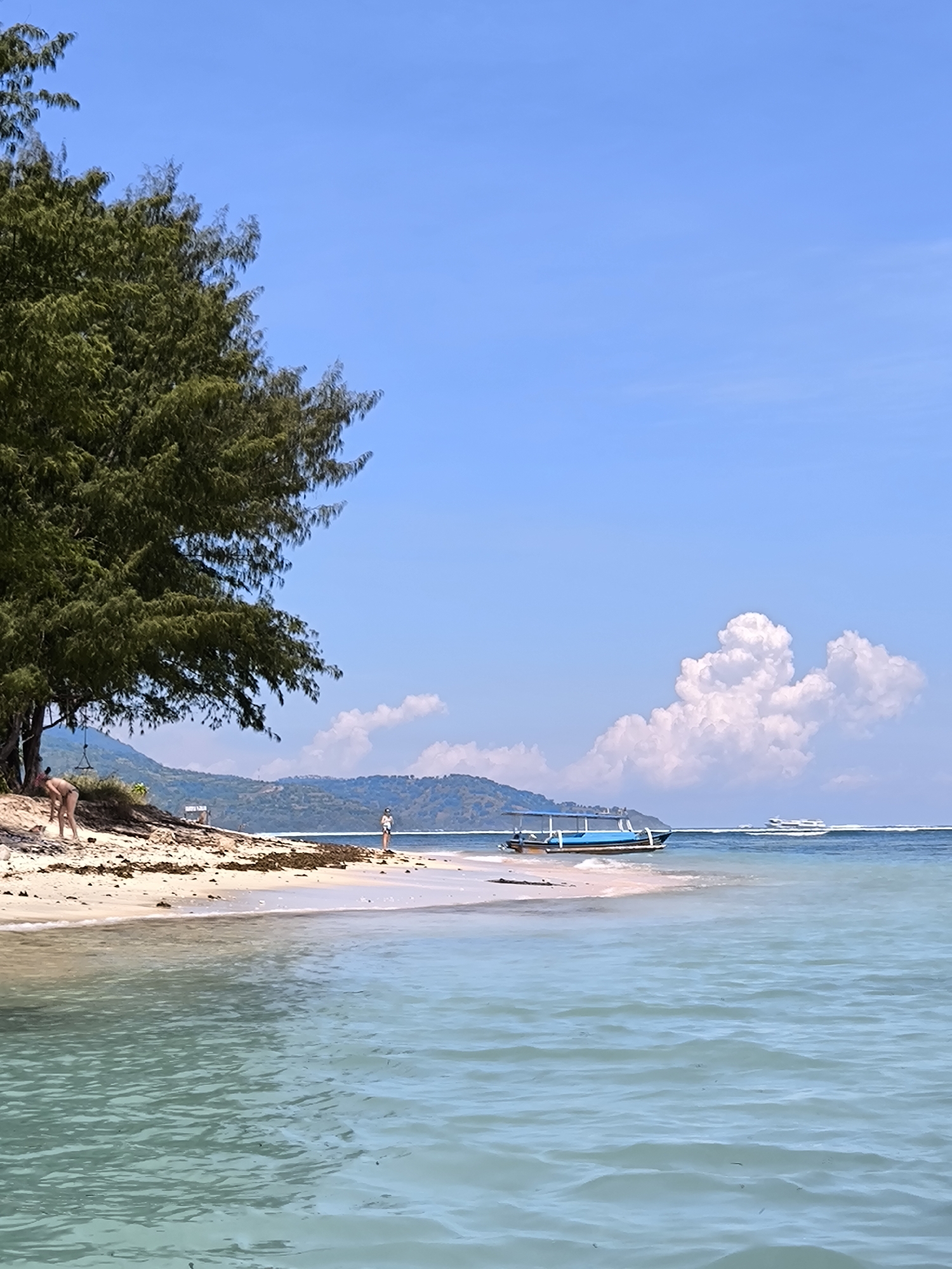 A bright and sunny beach scene unfolds beneath a clear, blue sky dotted with fluffy white clouds. A large, leafy green tree dominates the left side of the image, shading part of the sandy beach. A woman is seen bending over near the tree, possibly examining something on the sand. Further along the beach, another person stands near the water's edge. A blue and white boat rests on the sand near the shoreline. In the distance, a larger white boat can be seen on the water. The turquoise water is relatively calm with gentle ripples. In the background, low-lying, green-covered hills or mountains can be seen. This is a beach in Unknown, Indonesia.