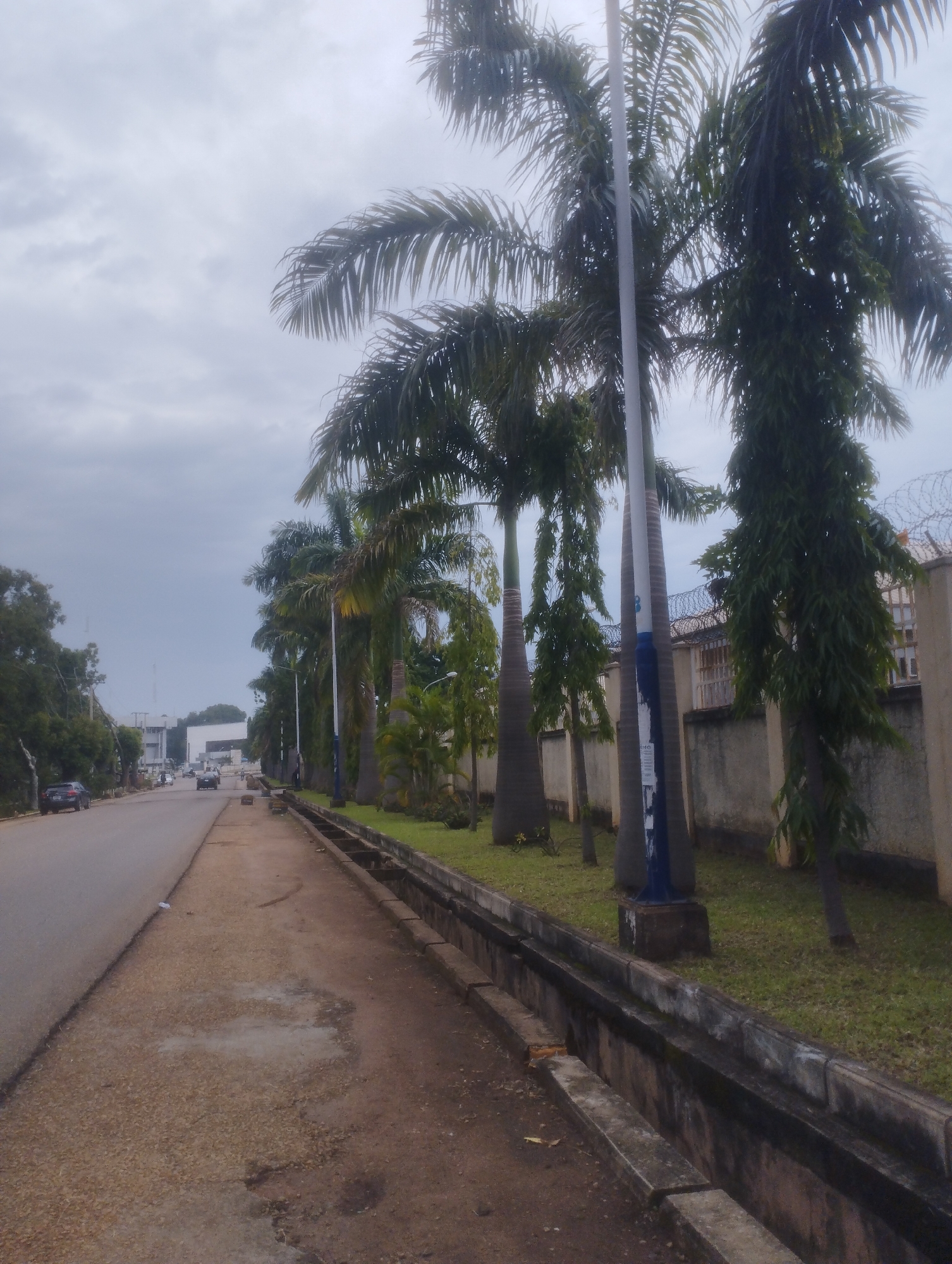 This image depicts a street scene in Jos, Nigeria, under an overcast sky. The road runs diagonally from the lower left to the upper right of the frame, with a paved sidewalk or verge to its right. A line of palm trees runs along the edge of the sidewalk, separating it from a concrete wall topped with barbed wire. Several vehicles are visible on the road, including a dark-colored SUV on the left and other cars further down the street. The environment appears urban, with buildings and vegetation visible in the background. The overall impression is one of a typical street in a city, with elements of infrastructure and nature coexisting.