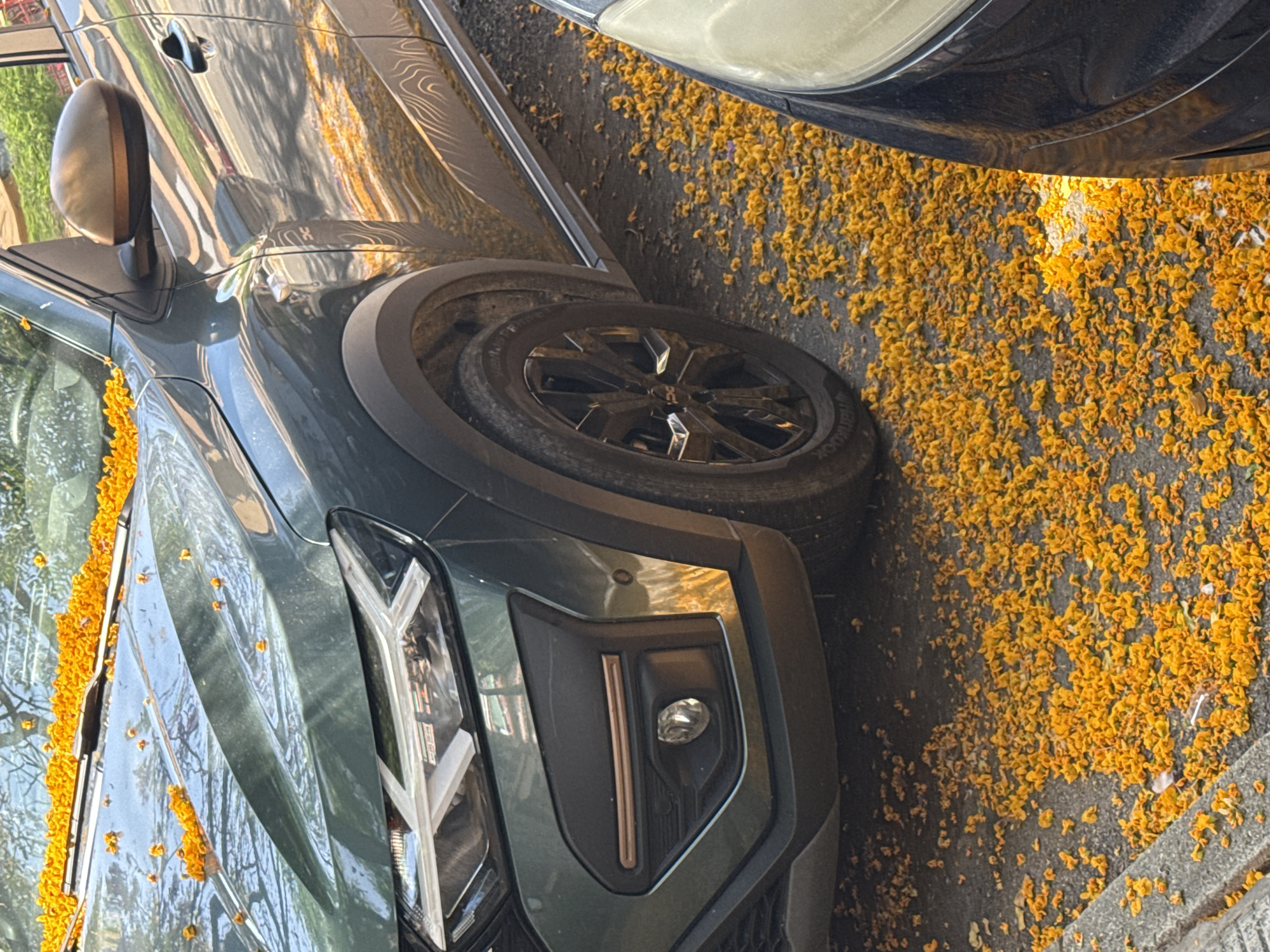 The image presents a close-up, rotated view of two parked cars on an asphalt surface, covered with numerous small, bright yellow or orange flowers. The main subject is a dark-colored SUV, possibly grey or dark green, prominently featured on the left and center. Its front-left section is visible, showcasing a modern headlight cluster with distinct LED daytime running lights, an auxiliary light unit on the lower bumper, and a black multi-spoke alloy wheel. The tire sidewall clearly displays "HANKOOK" and "RADIAL" lettering. Reflections of trees and light sources are visible on the car's glossy body panels, indicating bright, clear daylight conditions.
To the right, a portion of a second car is visible, identifiable by a light-colored headlight and a dark body. The ground beneath both vehicles is densely covered with the yellow/orange flowers, which also sprinkle the hood and windshield of the dark SUV. The sheer volume of blossoms suggests either a natural shedding from a prolific flowering tree or a ceremonial scattering. No people or specific activities are visible, presenting a serene, almost decorative scene illuminated by bright sunlight.