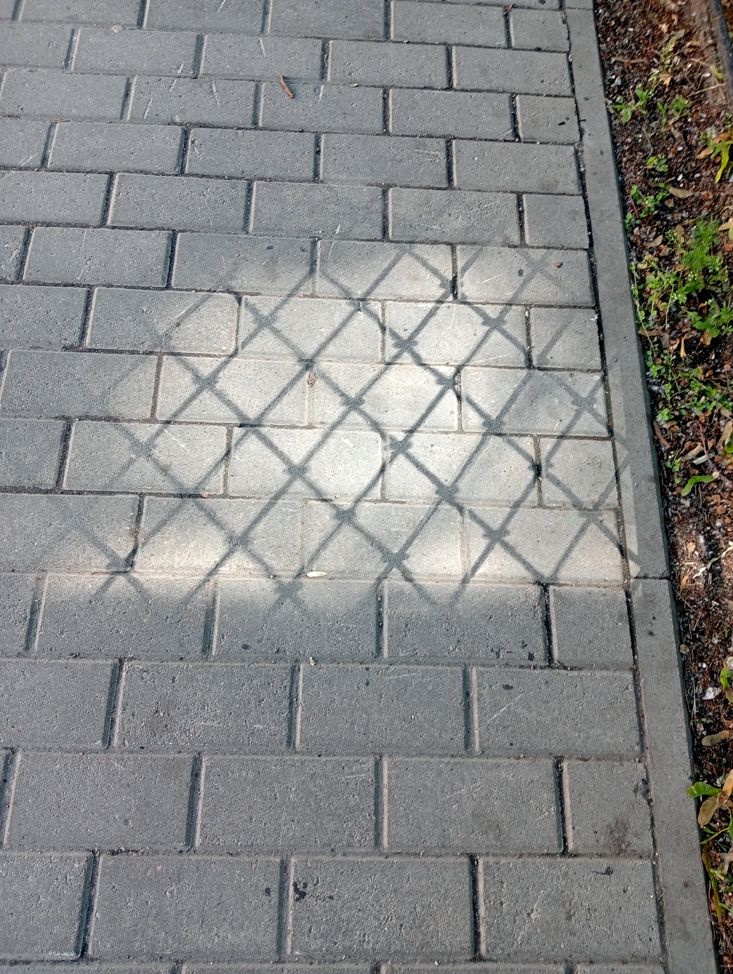 The image shows a section of a paved walkway in Saint Petersburg, Russia. The walkway is constructed from rectangular gray pavers laid in a staggered pattern. A diamond-shaped shadow pattern, cast by an unseen object such as a fence or trellis, is superimposed on the pavers in the upper half of the image. To the right of the walkway is a strip of unpaved ground covered with dry leaves, twigs, and sparse green vegetation, bordered by a concrete edge. The lighting suggests it is daytime, with shadows indicating the sun's position. There are no people or animals visible in the frame.