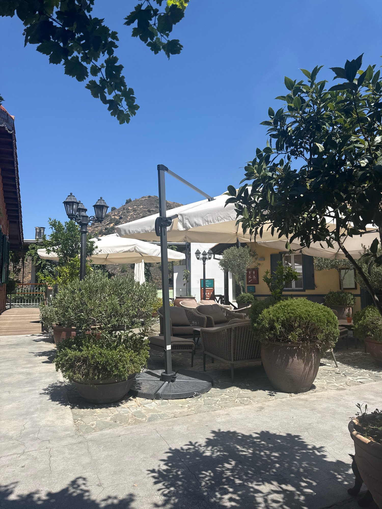 The image depicts an outdoor seating area, likely a cafe or restaurant, in Kalopanagiotis, Cyprus. The scene is bathed in bright sunlight under a clear blue sky. In the foreground, large potted plants, including an olive tree and a bushy green shrub, sit on a paved patio. Woven furniture, consisting of chairs and possibly a sofa, is arranged around low tables, partially shaded by white umbrellas. A tall black lamppost with three lanterns stands near the seating area. In the background, a yellow building with green shutters is visible, along with a portion of a wooden deck and railing. Further in the distance, a mountainous landscape with dry, rocky hills is seen. The overall impression is a tranquil, sun-drenched outdoor space.