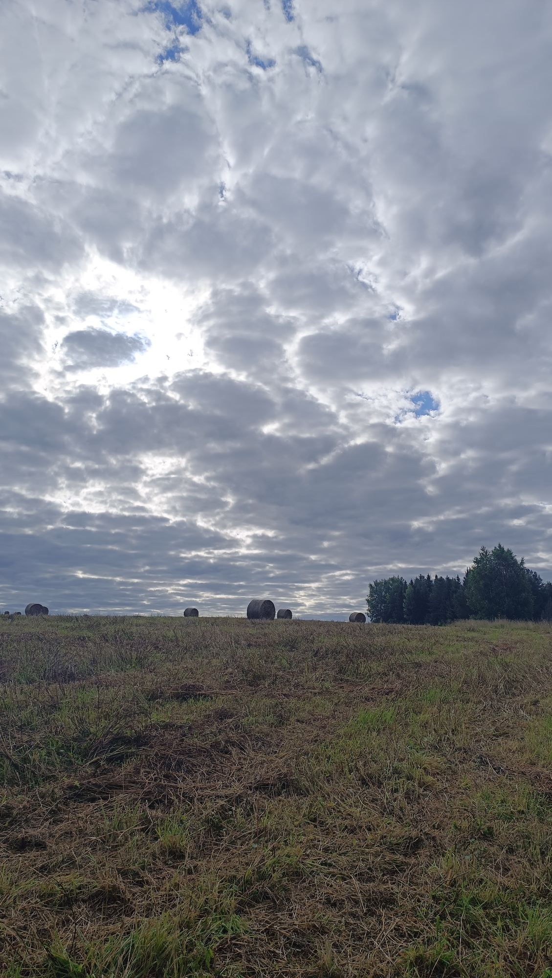 In Karsha, Russia, on a cloudy day, a wide view of a mown field with several hay bales is captured. The field is covered with dry, light brown grass and some scattered green patches. In the distance, along the horizon, a line of dark green trees forms a dense forest. Several round, dark hay bales are visible in the middle ground, distributed across the field. The sky is filled with dramatic, grey and white clouds, with patches of blue sky visible through some breaks. The sunlight is diffused, creating a somewhat overcast lighting condition. There are no people or animals visible in the frame.