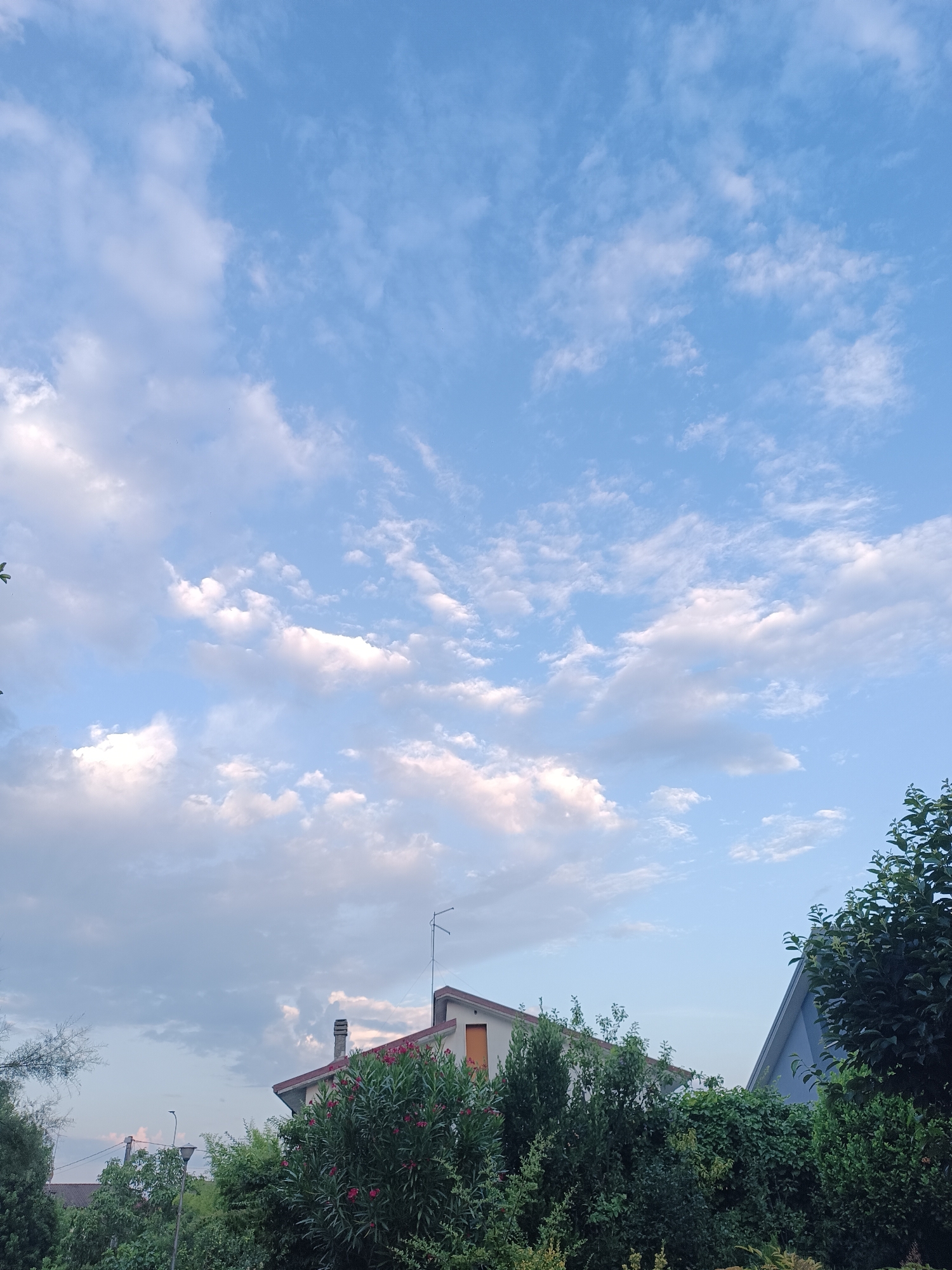 The image captures a residential scene in Viadana, Italy, on a day with a bright blue sky dotted with scattered white clouds. In the foreground, lush green trees and bushes dominate the lower portion of the frame, with some small pink flowers visible on a bush in the center. Two residential buildings are partially visible above the foliage. The building on the left has a red-tiled roof and a light-colored facade, with an orange window or door. A chimney and an antenna are present on its roof. The building on the right has a grey-blue angled roof. A streetlamp is visible among the trees to the left of the frame. The overall impression is a peaceful, suburban environment under a dynamic sky.