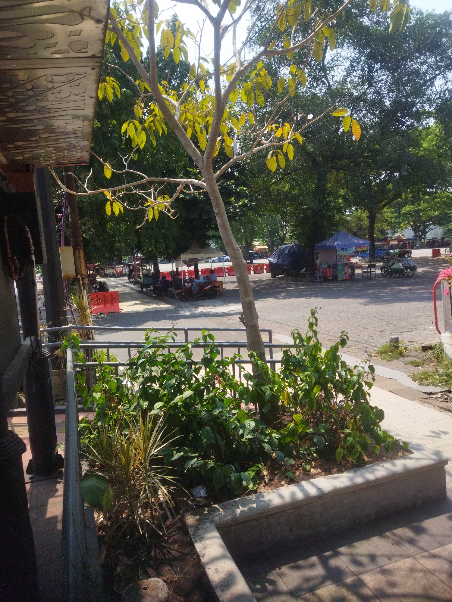 The image depicts an outdoor scene, likely a public space or market area, in the city of Surakarta, Indonesia. In the foreground, a planter box filled with green foliage and some spiky plants is visible, bordered by a low concrete wall and a metal railing. Behind the planter, a slender tree with light-colored bark and yellow-green leaves stands in the center of the frame.
Beyond the immediate foreground, a paved area with scattered trees and awnings suggests a marketplace or rest area. Several small stalls or vendors' tents are set up, some with people seated or standing nearby. Vehicles, including a car covered with a tarp, a scooter, and a three-wheeled vehicle, are present. The ground is a mix of paved surfaces and some grassy or unpaved areas. The overall lighting indicates a sunny day with bright shadows. The architecture visible in the upper left corner, with its decorative metalwork, hints at a building or structure associated with the establishment from which the photo is taken. The scene appears to be bustling with activity, characteristic of a commercial area in an Indonesian city.