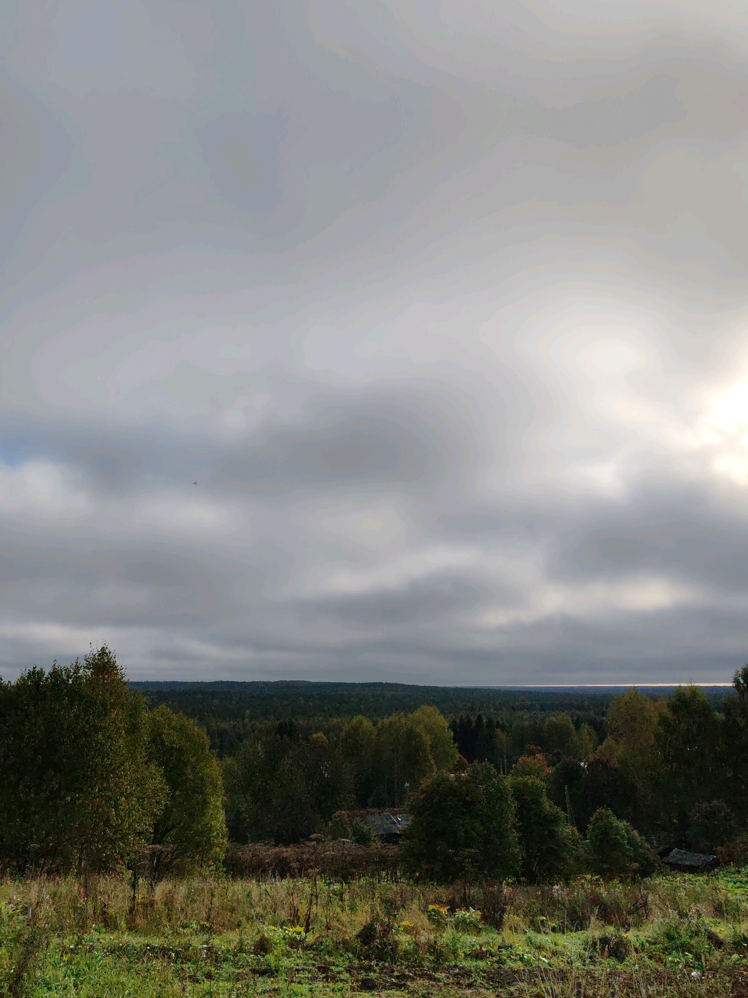 The image depicts a wide, high-angle view of a rural landscape under a heavily overcast sky. In the foreground, tall, dry grasses and some green vegetation are visible. Beyond this, a dense, dark green forest stretches across the horizon. In the middle ground, nestled within the trees, are the roofs of a few dilapidated structures, suggesting a small, possibly abandoned, settlement. The sky is filled with thick, gray clouds, with patches of brighter light breaking through in the upper right quadrant, indicating diffused sunlight. The overall atmosphere is somber and muted. The image is a landscape photograph taken in the vicinity of Чухлэм, Russia.