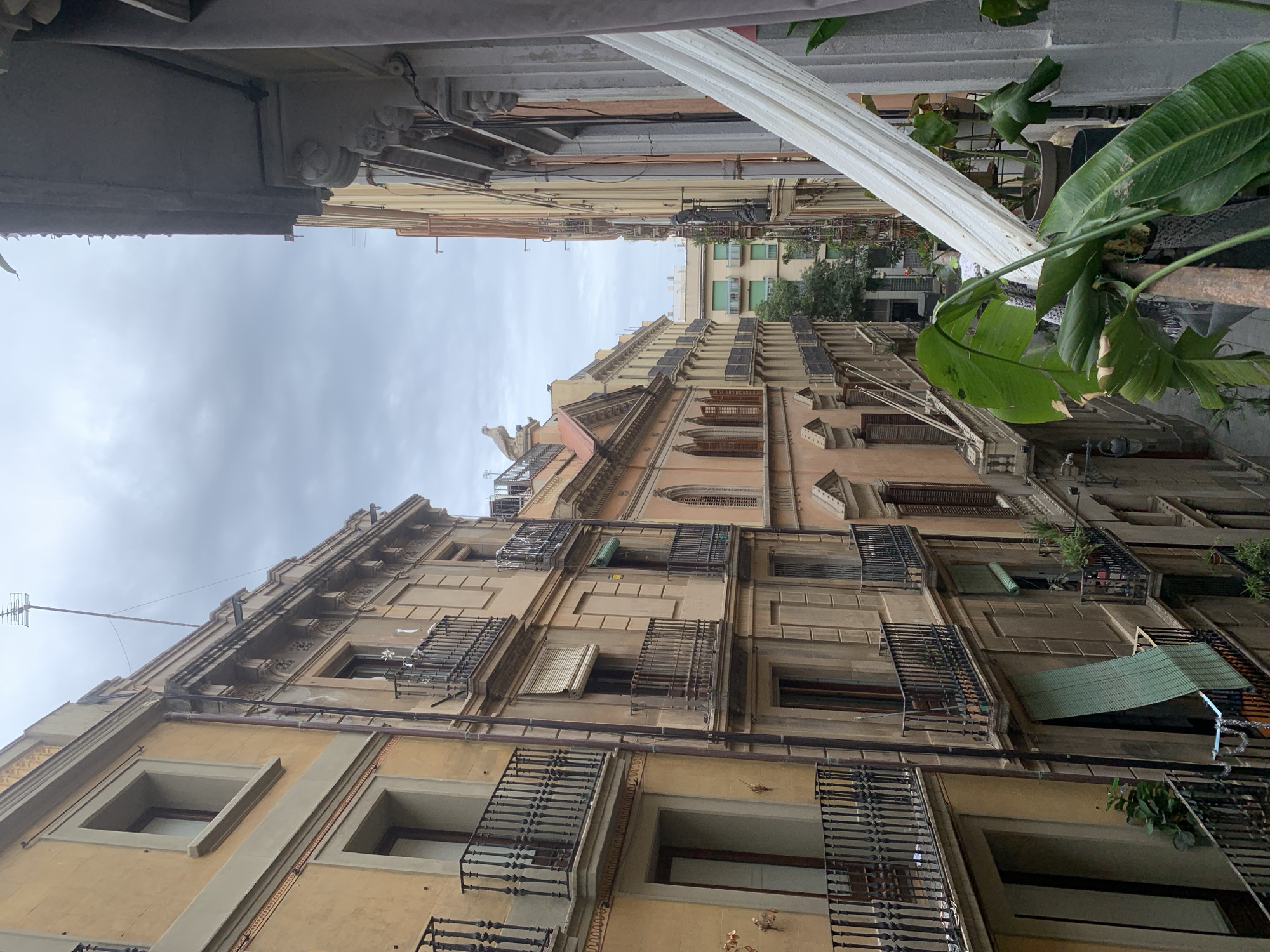 The image shows a narrow street in Barcelona, Spain, lined with tall, old buildings. The buildings are a mix of tan and brown, with ornate balconies and iron railings. The sky is cloudy and overcast. There are plants visible on some balconies and on the right side of the frame.