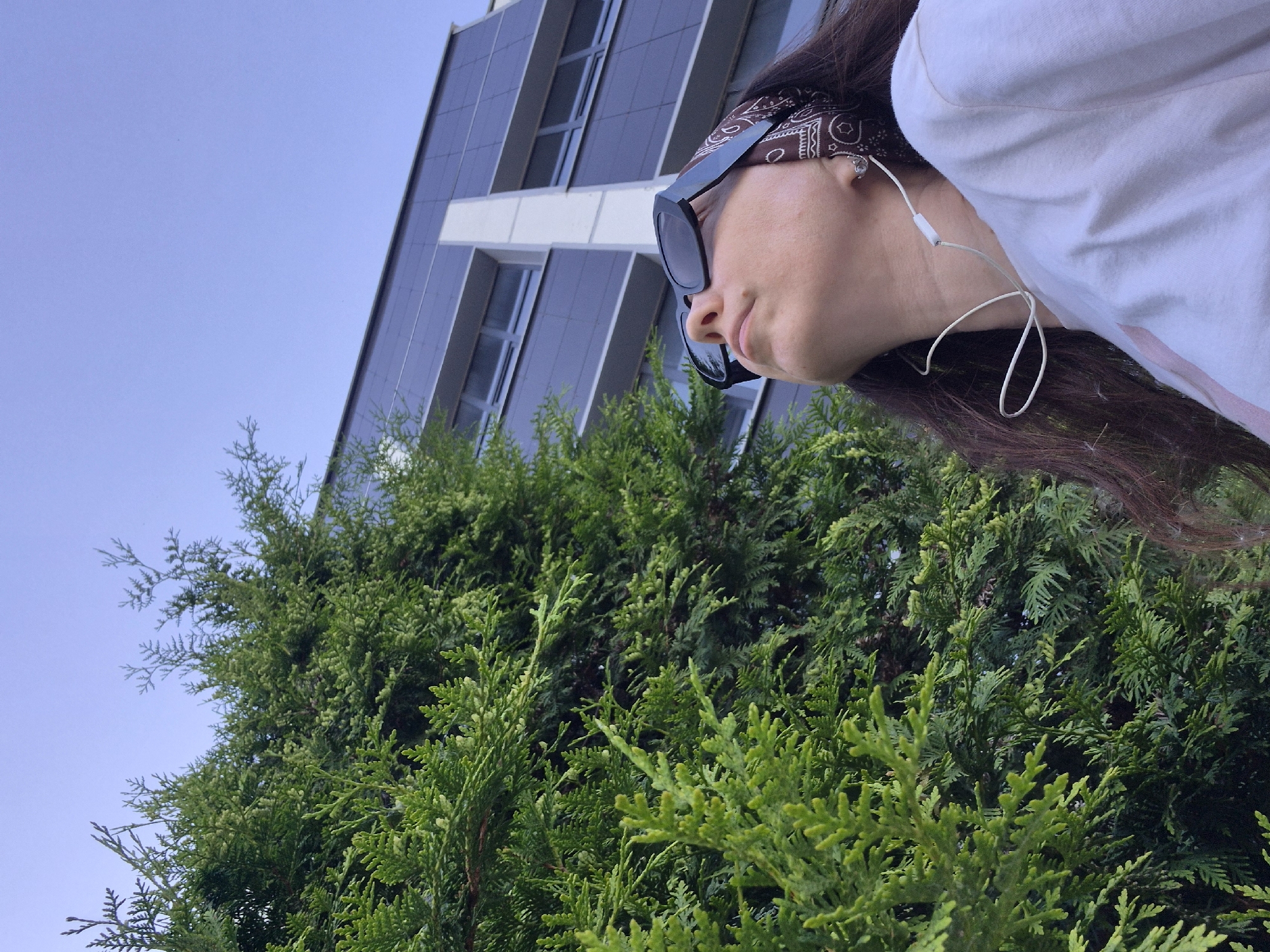 The photograph appears to have been taken from a low angle, looking up towards a woman who is standing near a dense, green shrub or tree. The sky is visible in the upper left corner and is a clear, light blue. A modern building with reflective windows and a light-colored extension is also partially visible in the background.
The woman is wearing sunglasses, a patterned bandana, and a white shirt. She also appears to be wearing headphones, as a white wire is visible near her ear and neck. The shrubbery is lush and green, with varying shades and textures. The photograph appears to have been taken in an urban environment, possibly a park or garden area. The location is described as the city of Unknown, Unknown.