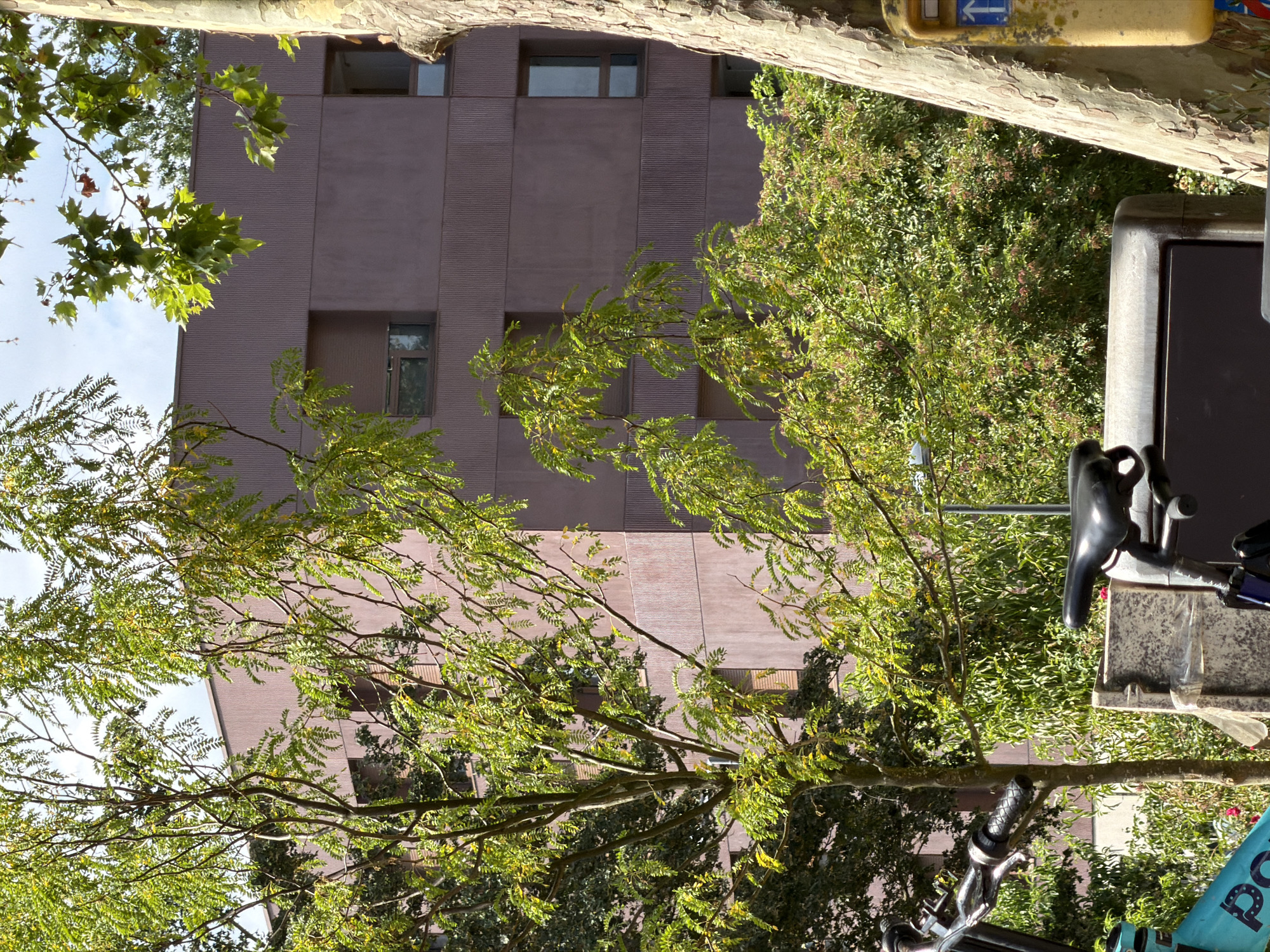 This media file captures an outdoor scene, likely in Évry-Courcouronnes, France, during the daytime, as indicated by the bright sunlight casting shadows and illuminating the foliage. The image is oriented vertically, showing a view looking upwards through the branches of trees towards a building and the sky.
The primary subjects include lush green trees with a mix of broad leaves and finer foliage, their branches reaching across the frame. Behind the trees, a modern building with a reddish-brown facade is visible. The building features multiple rectangular windows, some appearing dark and others reflecting the sky. The texture of the building's exterior is subtly detailed, with vertical grooved panels.
In the foreground, parts of a bicycle are visible, including a black saddle, handlebars, and a portion of the frame, suggesting it's parked or being viewed. A street-level object, possibly a signpost or a public utility box, is also present, featuring a yellow surface and a blue arrow pointing left.
The overall scene conveys a sense of urban greenery and everyday life. The sunlight filtering through the leaves suggests a pleasant weather day, possibly late spring or summer given the vibrant green of the trees. There are no visible people in the frame. The image is a snapshot of a moment, capturing the interplay of natural elements and urban infrastructure.