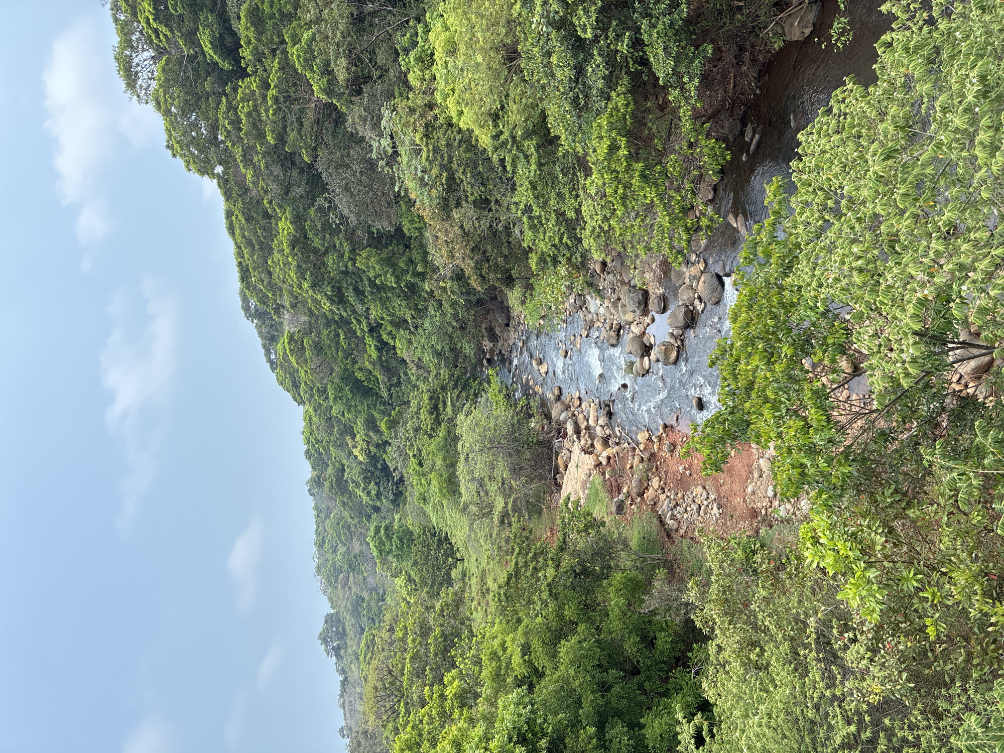 The image depicts a stream flowing through a forested area. The location is likely in or near Pajapan, Mexico. The stream is rocky and has relatively clear water. The surrounding forest is dense with green trees. The sky is overcast.