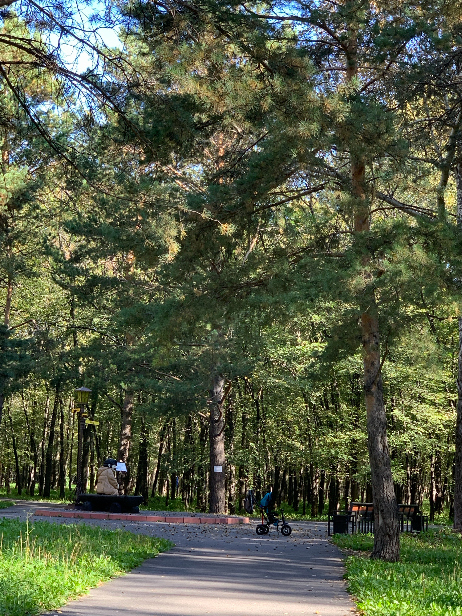 The image depicts a park scene, likely in Prokopyevsk, Russia, on a sunny day. The foreground features a paved pathway winding through lush green grass and fallen leaves. To the left, a park bench with a sculpture of a person in a beige coat is situated near a lamppost. Further along the path, a children's tricycle with a blue bag is parked. In the background, dense trees create a shaded canopy, with sunlight filtering through the branches. Several benches and trash receptacles are visible in the middle ground. The overall impression is one of a tranquil, well-maintained park setting.