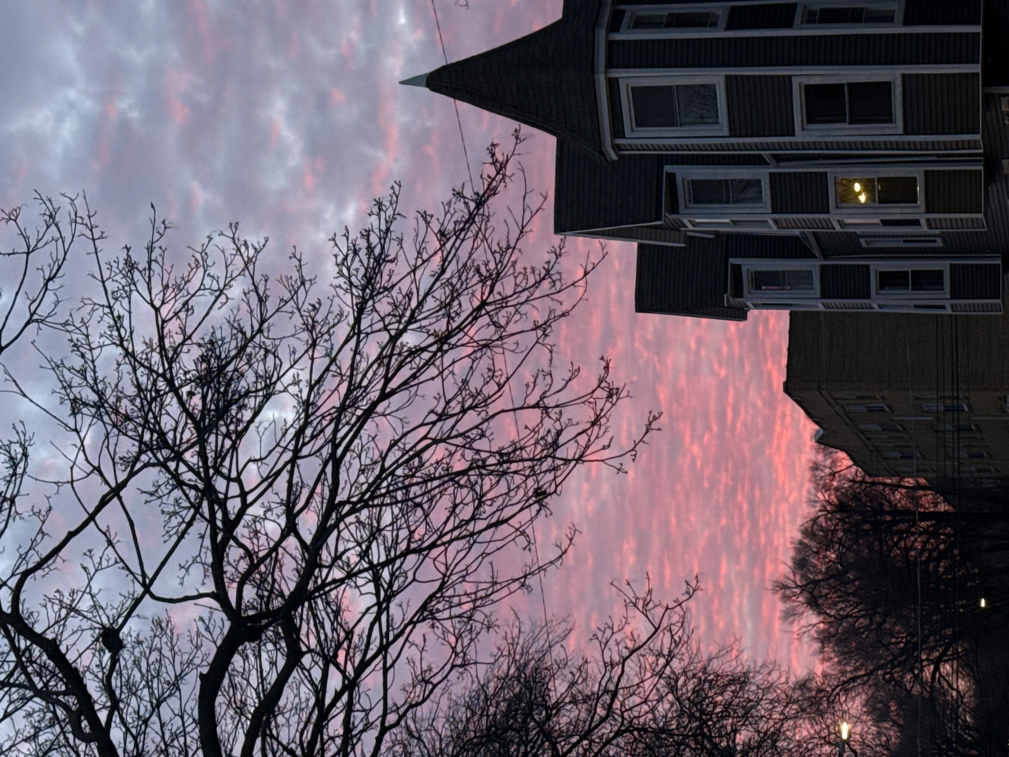 The image shows a Chicago, Illinois cityscape at dusk. A bare tree with delicate branches is silhouetted against a sky of pink and gray clouds. To the right, a multi-story building with a steeply pitched roof and symmetrically arranged windows sits next to a brick apartment building. The perspective is oriented, in relation to the viewer, from the ground looking up at an angle. The sky's coloring suggests either dawn or dusk, and the tree's bare branches indicate winter or early spring. The scene is quiet and still.