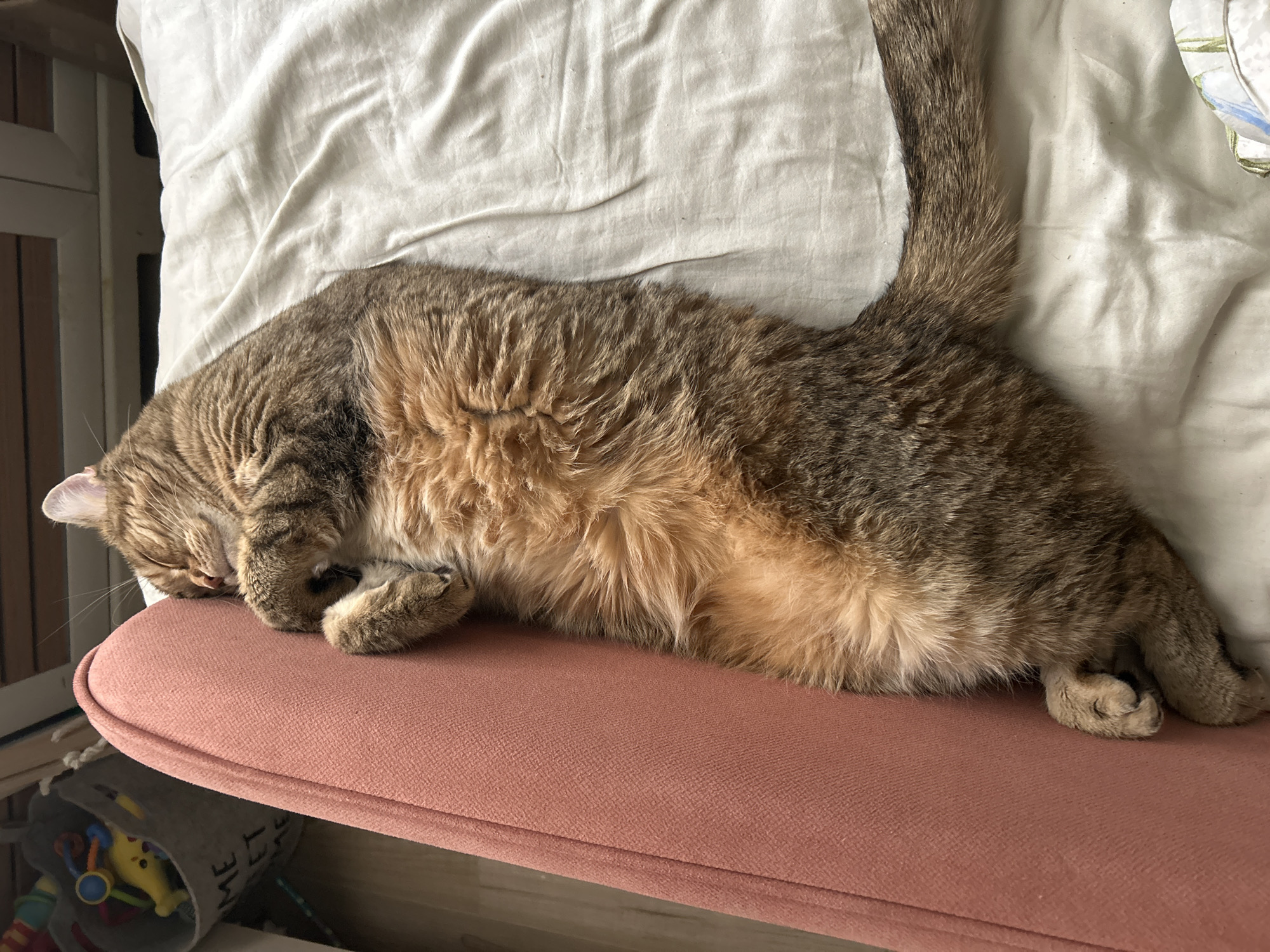 An indoor photograph captures a domestic cat deeply asleep or resting on a padded surface. The cat, a brown and tan tabby with plush fur, is lying on its left side, stretched out. Its head is tucked down, with its front paws covering its face, indicating a comfortable and peaceful slumber. The cat's tail extends upwards towards the top right of the frame.
The cat is positioned on a rectangular, reddish-brown or dusty pink upholstered surface, likely a chair cushion, bench, or ottoman. Above the cat, to its back, is a section of a white, crumpled sheet or fabric, possibly part of a bed or large cushion.
In the background, on the far left, there is a partial view of a white wooden structure, which could be part of a crib, bed frame, or shelving unit. Below the upholstered surface on the bottom left, a grey fabric basket is visible, containing several colorful children's toys, including yellow, red, and blue plastic objects. Partially visible text on the basket reads "ME" and "T".
The lighting in the image suggests daytime conditions, with soft, ambient light illuminating the scene. The overall impression is one of domestic tranquility and comfort. This scene is set indoors, within what appears to be a bedroom or living area in Moscow, Russia.