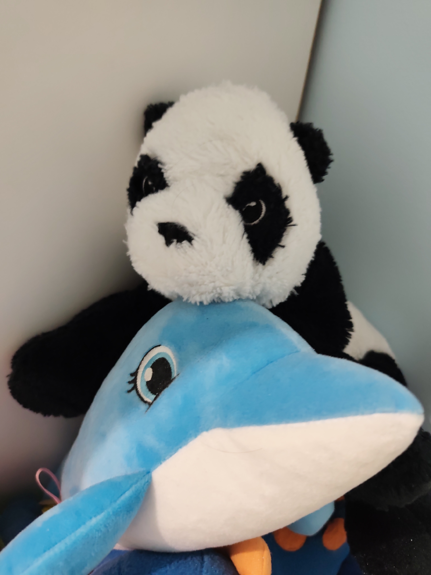 The image depicts two plush toys in an indoor setting. A black and white panda bear stuffed animal is positioned on top of a blue dolphin stuffed animal. The panda has distinct black eye patches, ears, and limbs, with a white face and body. Its front is resting on the back of the blue dolphin. The dolphin features a light blue upper body and a white underside, with a prominent embroidered eye showing a black pupil, light blue iris, and black eyelashes. A thin pink ribbon is visible near the dolphin's left side. The background consists of a plain light grey vertical surface on the left and a light blue vertical surface on the right, separated by a vertical seam. Below the dolphin, blurred orange and blue fabric elements are visible, suggesting additional objects. The image contains no information to determine its geographical location, including Pazardzhik, Bulgaria.
