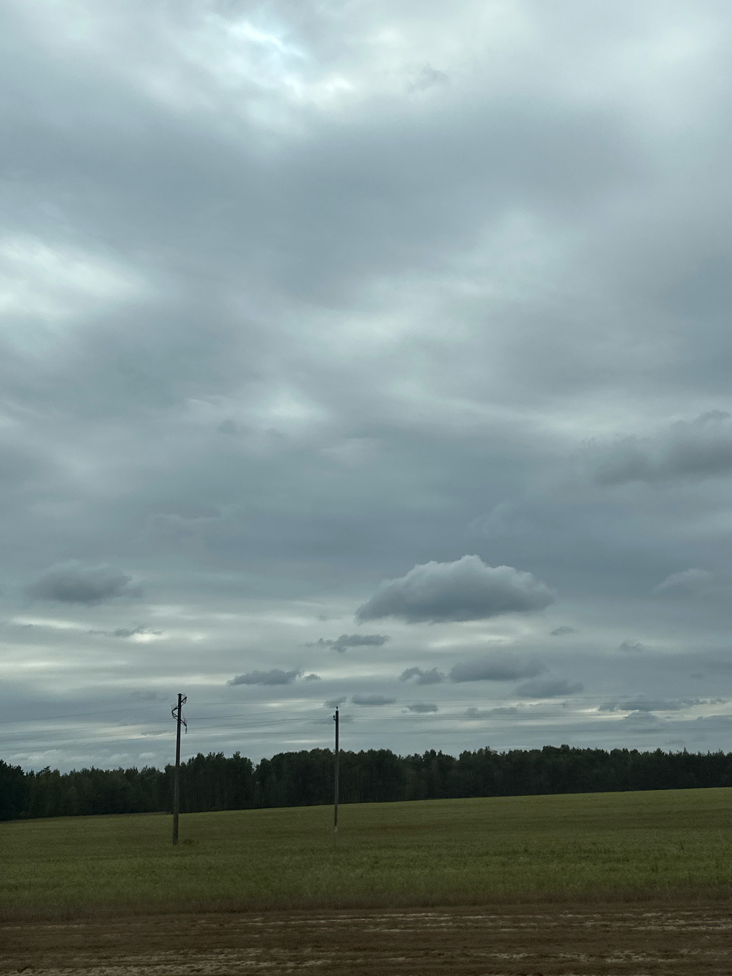 An overcast sky with layered grey clouds hangs above a wide, flat landscape in Чыркавіцкі сельскі Савет, Belarus. The sky shows patches of brighter light breaking through the clouds, particularly in the upper left quadrant. Below the sky, a dark, dense line of trees forms a horizon. In front of the trees, a broad, open field of green grass extends towards the foreground. Two tall, slender wooden utility poles stand in the field, spaced apart. The foreground shows a strip of tilled brown earth with visible furrows. The scene is devoid of any people or visible animals.
