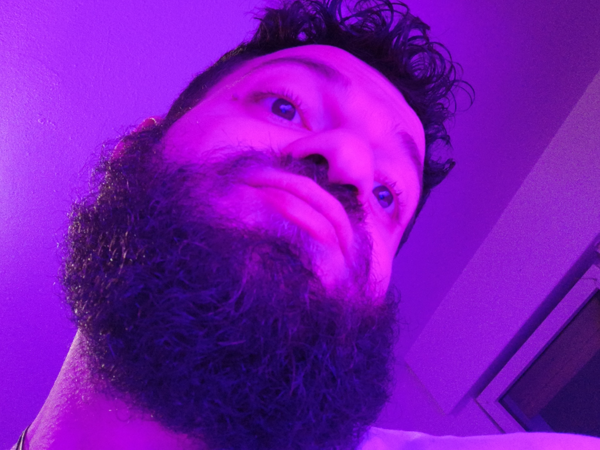 A low-angle selfie shows a Caucasian man with a full dark beard and curly dark hair. He is facing upwards towards the camera. His face is slightly distorted due to the angle. The lighting is a strong, uniform purple, bathing the man and the background in the same color. The background includes a textured wall and a section of what appears to be a window frame or door frame. The location cannot be determined to be Diepholz, Germany from the visual information provided.