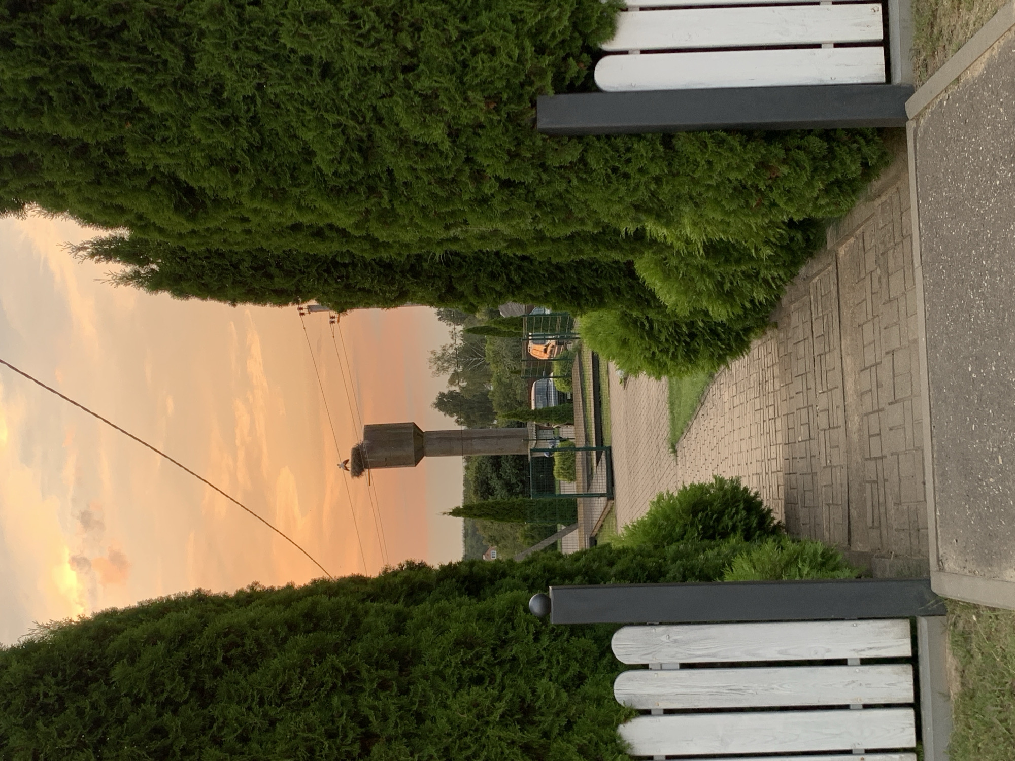 The image depicts an outdoor scene at sunset in the city of Kapyĺ, Belarus. A pathway made of interlocking brick pavers leads towards a water tower in the distance. On top of the water tower, a stork has built its nest. The pathway is bordered by lush green cypress trees on both sides, creating a natural tunnel effect. In the foreground, a white picket fence with dark grey posts frames the entrance to the pathway. The sky is a warm orange and pink, characteristic of a sunset. Electrical wires are visible stretching across the sky. In the middle ground, there appears to be a parked car.