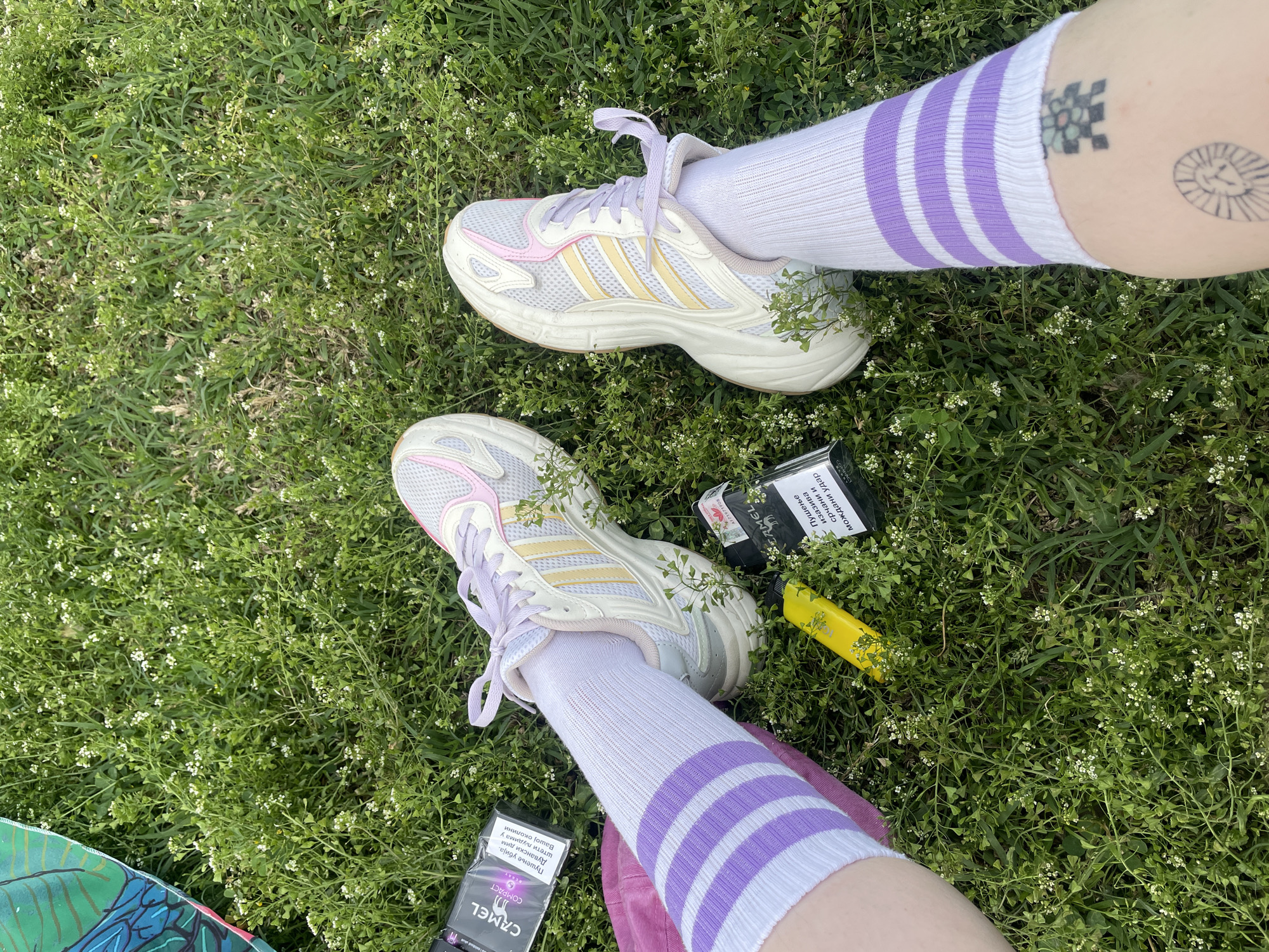 A person's legs and feet are positioned in a patch of grass with small white flowers. The person is wearing white socks with purple stripes and white sneakers with pastel pink and yellow accents. A pack of Camel Compact cigarettes and a yellow lighter lie in the grass next to one of the sneakers. A partial view of a skateboard is visible in the lower left corner. Tattoos are visible on the person's right leg.
While the cigarette pack contains Cyrillic lettering, and mentions дувански дим штети људима у Вашој околини ("tobacco smoke harms people around you"), and "Пушење мождани удар срчани и изазива", I cannot confirm the location in Palilula Urban Municipality, Serbia.