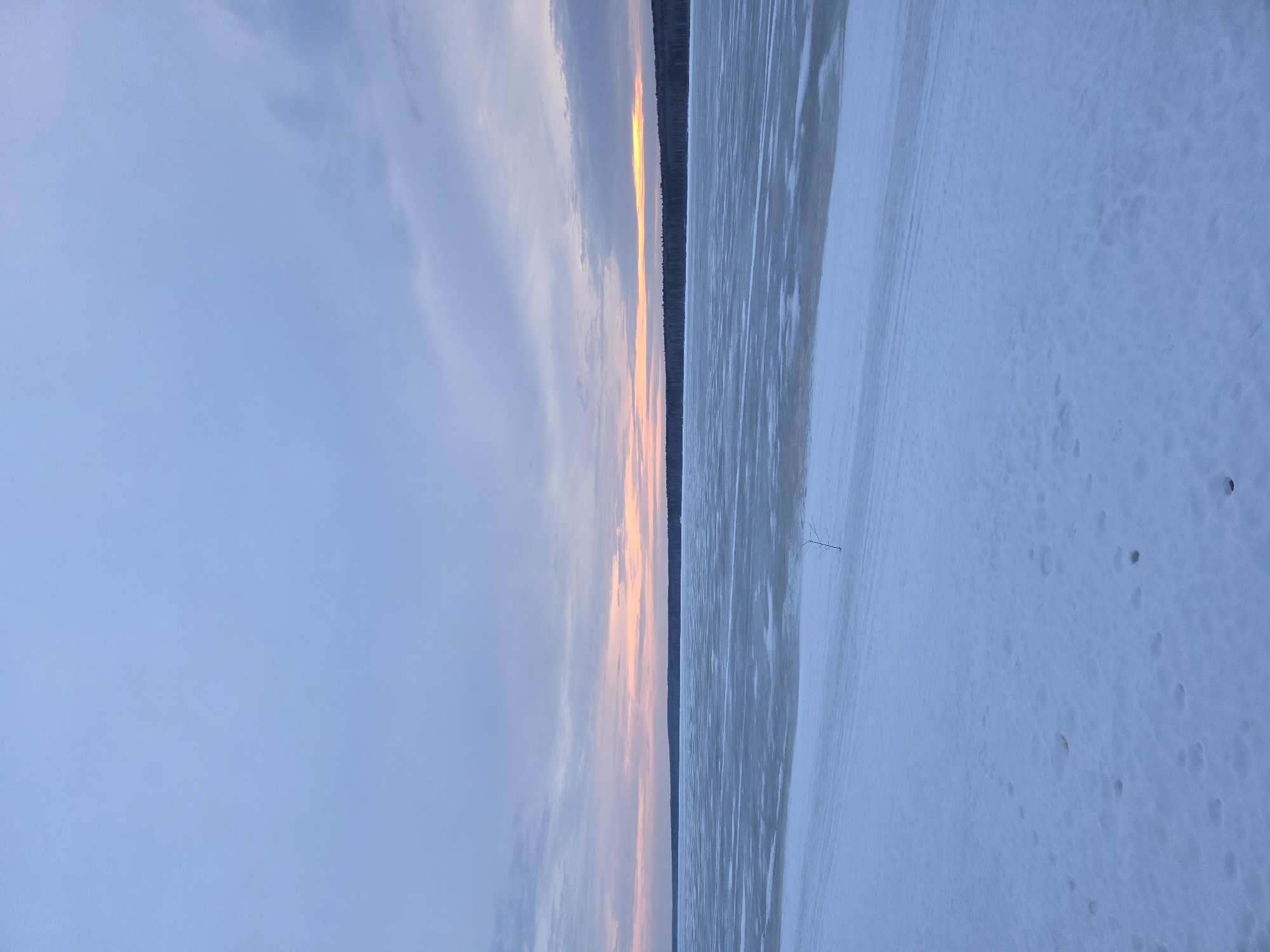 The image depicts a winter landscape likely in Chaikovsky, Russia. A thin line of dark trees separates a cloudy sky with hints of sunset colors from a snow-covered area, possibly a frozen lake or field. The snow surface shows subtle textures and scattered markings. A small, leafless branch protrudes from the snow.