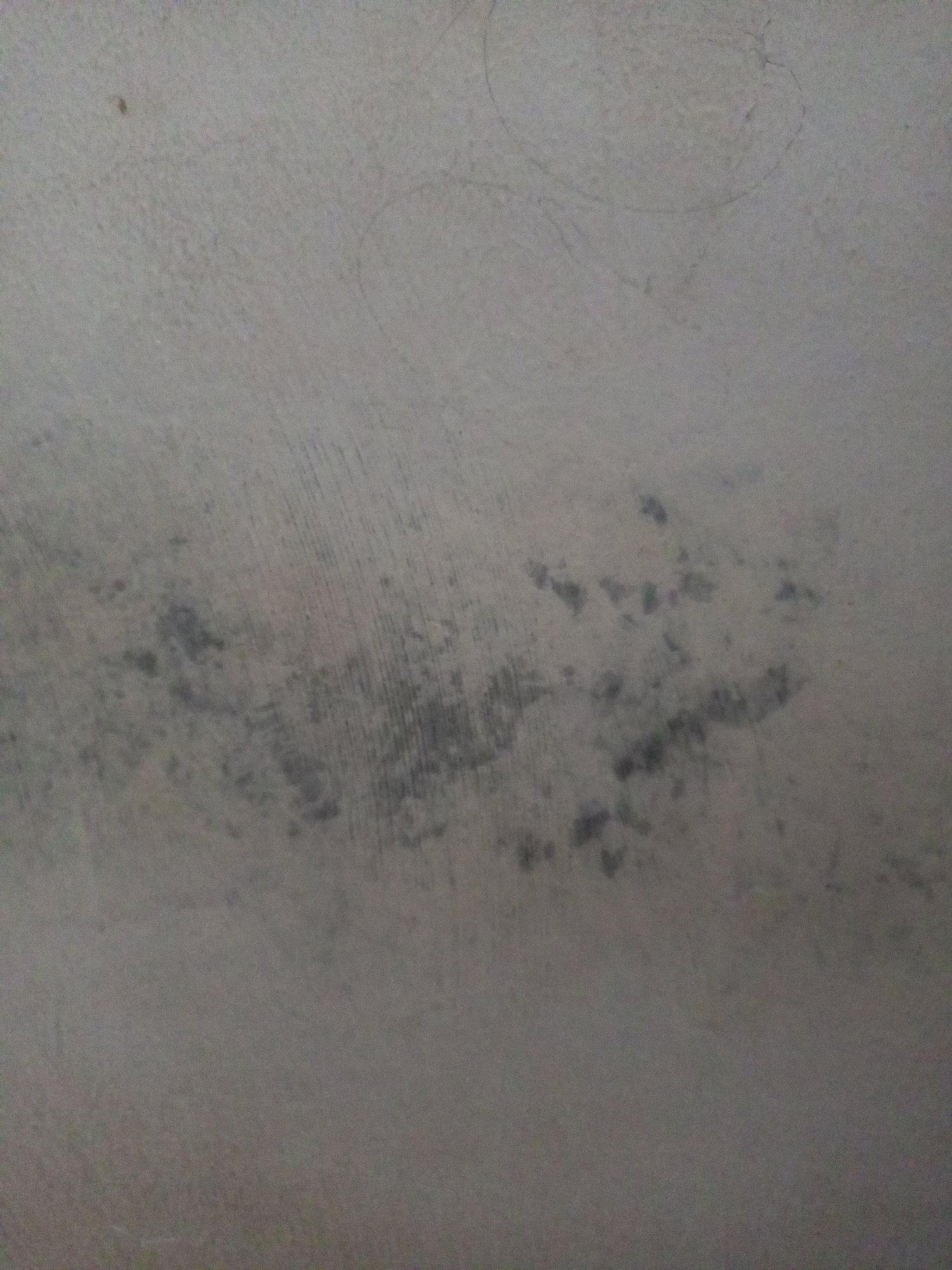 The image is a close-up, overhead view of a grey, textured surface, likely a wall or ceiling. There are several dark, irregular splotches scattered across the surface, which could be mold or staining. Fine, light-colored lines, possibly scratches or embedded fibers, are also visible. A few faint circular markings are present in the upper portion of the image. The lighting appears to be dim, casting a slight shadow and highlighting the texture of the surface.