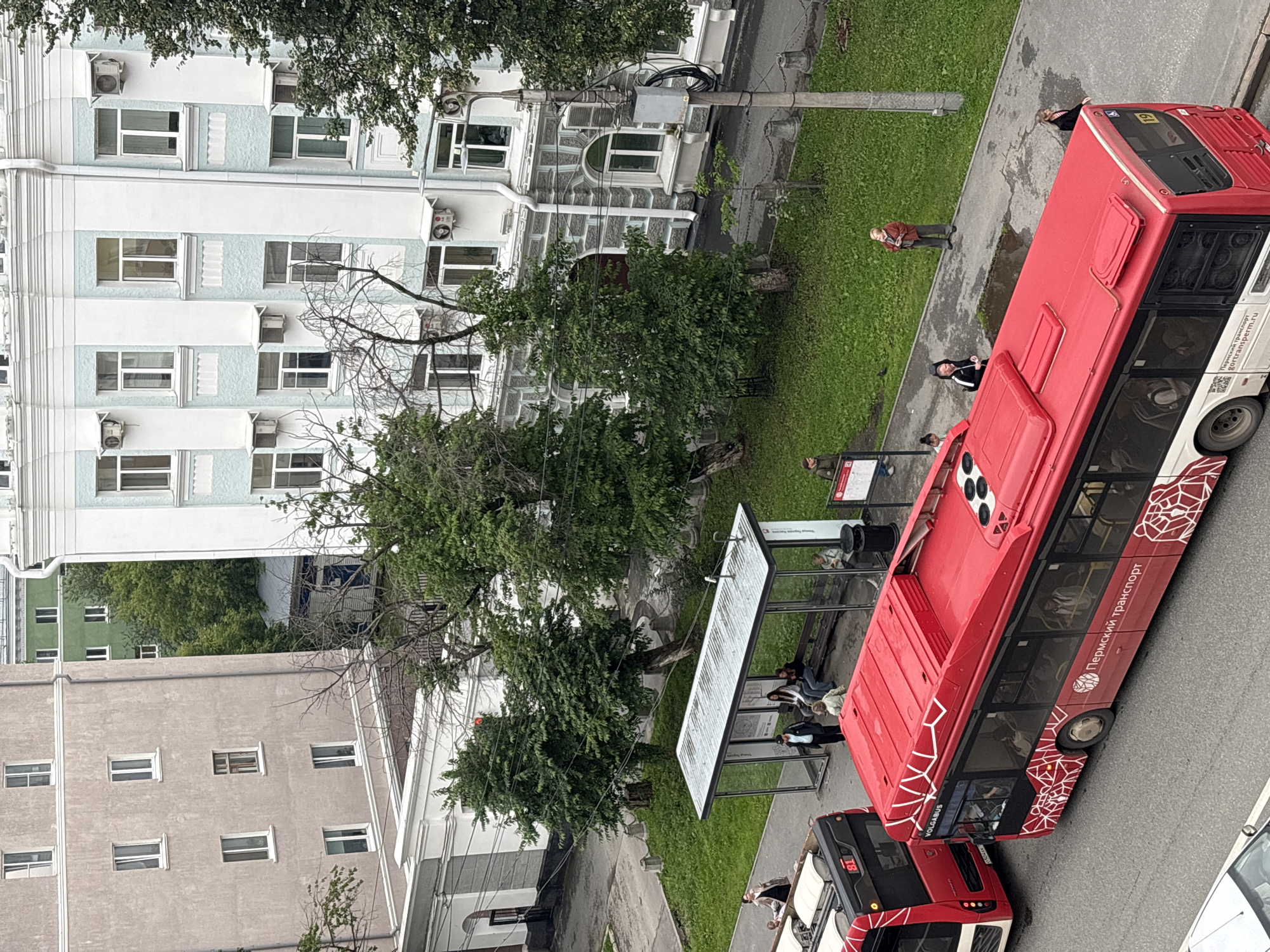 The image depicts a street scene in Perm, Russia, with a focus on two red public transport buses. One bus, a Volgabus model, is prominently featured in the foreground, displaying the text "Пермский транспорт" (Perm Transport) and a decorative pattern. The second bus, with the number "81" visible, is parked behind it.
Several people are visible in the scene. At a bus stop shelter with a transparent roof and sides, individuals are seated on a bench, waiting. Others are standing near the shelter and the buses. A woman in a brown jacket stands on the sidewalk near a utility pole, looking upwards. Another woman in a black and white jacket is walking away from the camera.
The environment includes a well-maintained green lawn area adjacent to the sidewalk and bus stop. Buildings with multiple windows and air conditioning units are visible in the background, suggesting an urban setting. The architecture of the buildings appears to be a mix of styles, with one building having a light blue and white facade and ornate detailing, and another to its left being a muted pinkish-tan color. The street surface is asphalt. The time of day appears to be overcast, judging by the lighting.