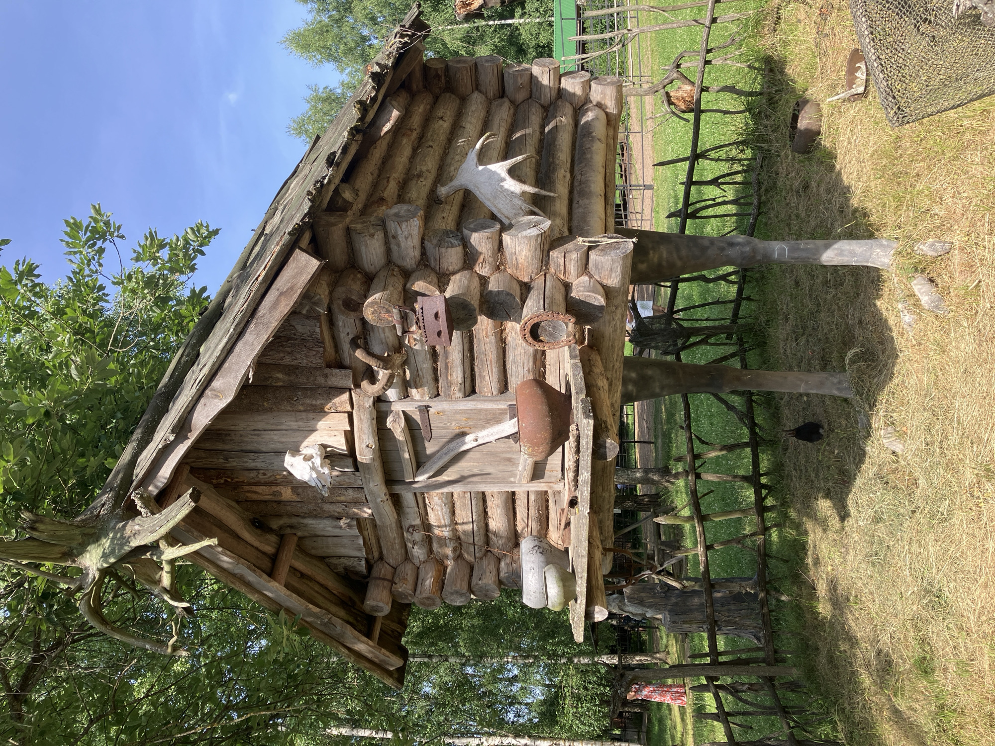 The image captures a rustic, wooden log cabin elevated on stilts, situated in an outdoor setting that appears to be a historical or cultural exhibit, likely within the city of Pushkinskiye Gory, Russia. The cabin's roof is made of weathered wooden shingles, and a gnarled tree root system is prominently integrated into the peak of the roof. Various objects are attached to the exterior of the cabin, including a white animal skull above the door, a rusty iron, a horseshoe, and a stylized white horn-like decoration. A wooden shelf extends from the front of the cabin, holding several pottery items, including two rounded pots and a larger, darker pot. The cabin is supported by two thick, dark, tree-like stilts. A rustic wooden fence encloses a grassy area in front of the cabin. In the background, trees and foliage are visible, suggesting a natural or park-like environment. A person in a long, red and white patterned dress is partially visible on the left, standing behind the fence. A dark-colored rabbit is also visible in the grassy area near the fence. The ground is covered in dry grass and some scattered debris. The sky is clear and blue.
