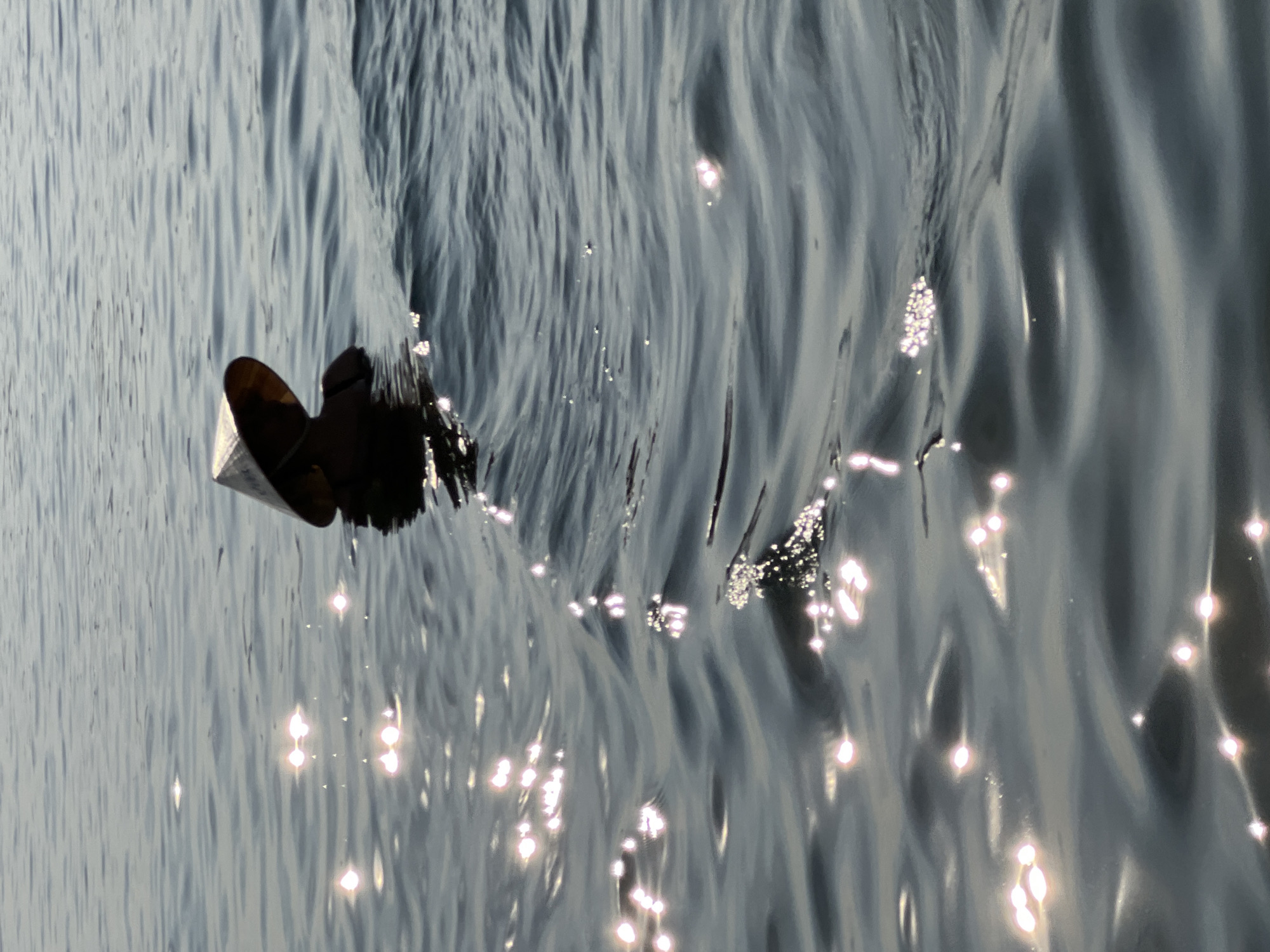 The image captures a person wearing a conical hat, partially submerged in the water. The person is facing to the right, with their back to the viewer. The water is dark and rippled, with bright reflections of sunlight scattered across the surface. The scene appears to be an outdoor body of water, possibly a sea or a large lake, given the calm yet textured surface. The context provided places this scene in Nha Trang Ward, Vietnam, suggesting a coastal or riverside environment. The lighting and water conditions indicate it might be daytime, possibly late afternoon or early morning, given the strong reflections. No specific landmarks or urban features are visible, focusing solely on the solitary figure and the water.