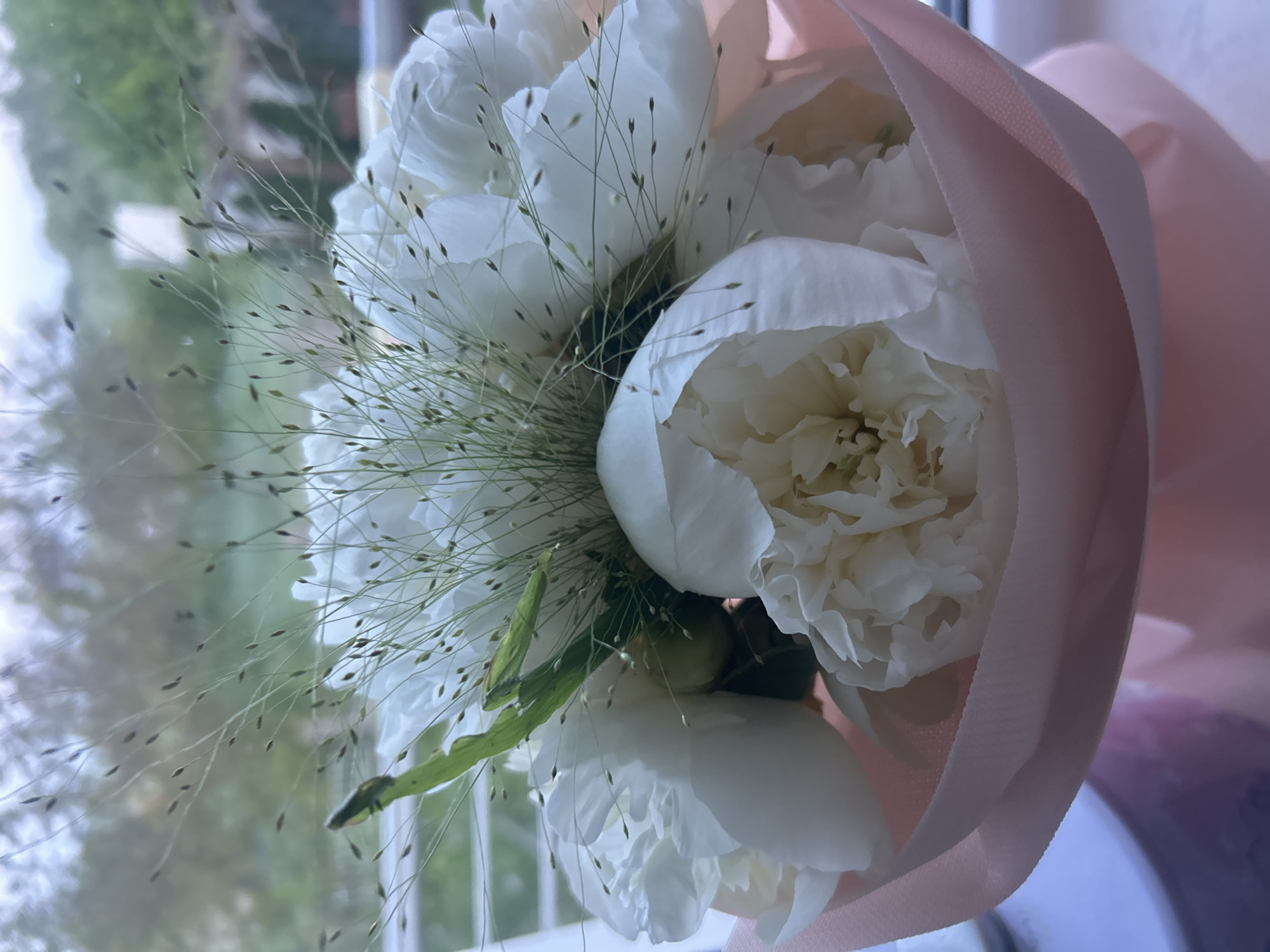 A close-up shot of a bouquet of white peonies wrapped in light pink paper. The bouquet includes sprigs of fine, delicate grass. The background is blurry, suggesting an outdoor setting with a window visible. Location: Unknown, Unknown.