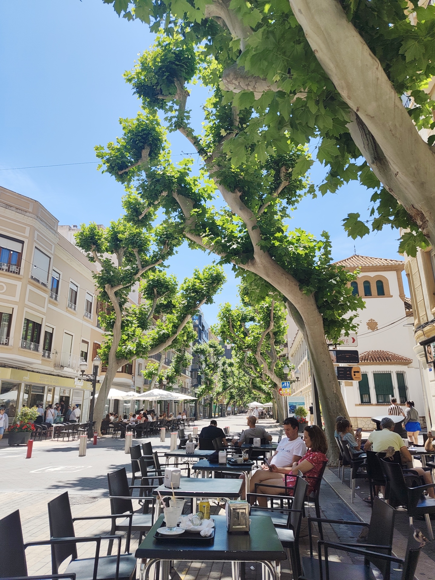 The image captures a street scene in Dénia, Spain, likely a pedestrianized zone lined with outdoor cafes and restaurants. Several people are seated at tables, enjoying food and drinks. There are black chairs and tables in the foreground and background with scattered items such as drinks, napkins, and sugar packets. A couple sits at one of the tables, the man in a white shirt, and the woman in a red dress. Other patrons are visible, some engaged in conversation, others looking at their phones. The architecture along the street consists of multi-story buildings with architectural details such as windows, shutters, and balconies. Mature trees line the street, creating a canopy of shade. The sky is blue, indicating clear weather.