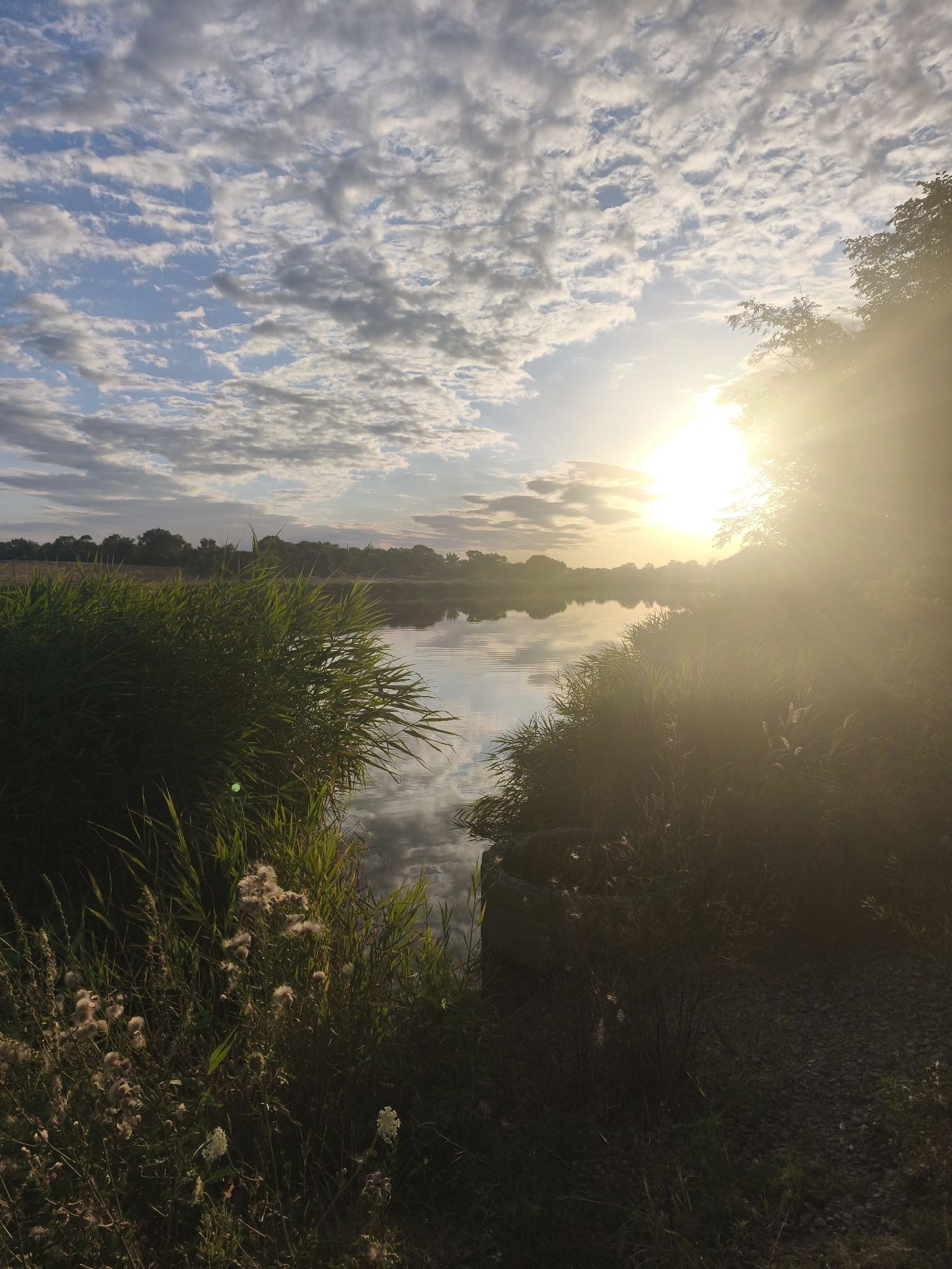 This is a photograph of a lake at sunset, with the sun shining brightly through the trees on the right side of the frame. The sky is filled with clouds, and the water reflects the sky and the surrounding vegetation. There is a path made of gravel on the right side of the image, and various plants and reeds are growing along the edge of the lake. The image appears to be taken in a natural setting, possibly a park or a nature reserve. There are no people or animals visible in the photograph. The overall mood of the image is peaceful and serene.