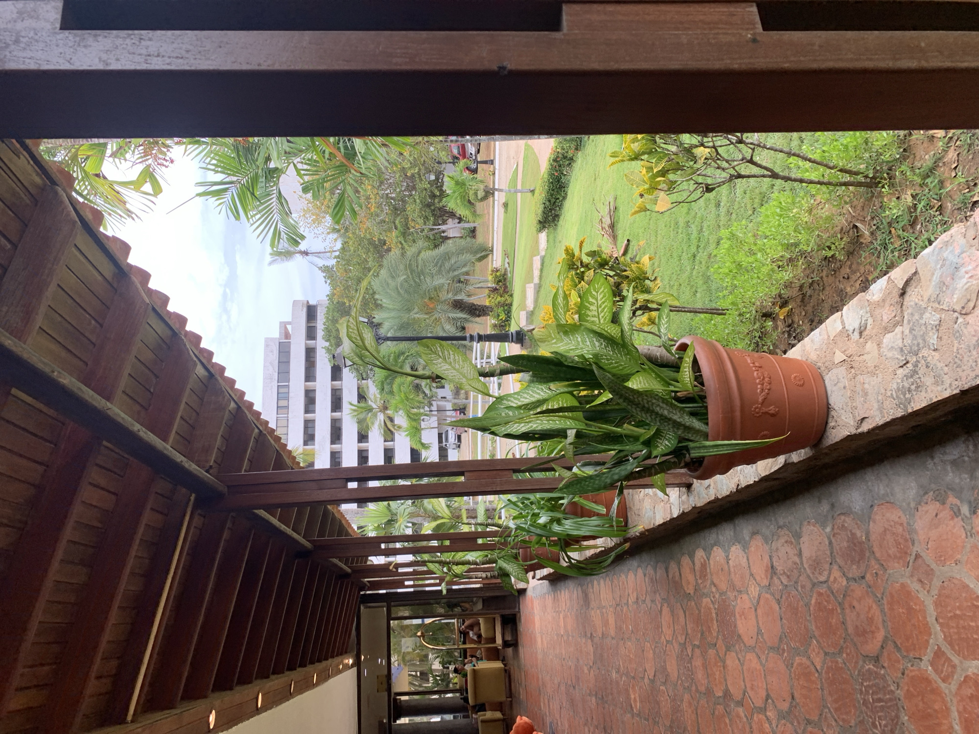 The image displays a view from under a covered outdoor walkway looking out onto a landscaped garden and distant buildings under an overcast sky.
The walkway features a dark brown wooden plank ceiling with recessed circular lights along a beam on the left. The floor is paved with terracotta-colored hexagonal tiles. A low, rough-hewn stone or concrete ledge borders the walkway, upon which several terracotta-colored pots containing tall, green, leafy plants (resembling snake plants) are placed. Dark brown wooden pillars support the roof structure along the edge of the walkway, framing the outdoor view.
Through large glass panels on the left side of the walkway, an interior lobby area is visible. This area contains yellow upholstered armchairs and sofas, and a gold-colored luggage cart. Two individuals are discernible within the lobby: one seated in an armchair and another standing near the luggage cart.
Beyond the walkway, a manicured green lawn slopes gently, interspersed with various tropical trees and plants, including several palm trees of different sizes and bushes with green and yellowish foliage. Dark lampposts with white bases are present within the garden. A paved road or pathway curves through the landscaped area in the mid-ground, where a red SUV or car is partially visible, along with another white vehicle further in the background.
In the far background, multiple stories of large, white, rectangular buildings with numerous windows are visible, consistent with hotel or apartment structures. The sky overhead is uniformly light gray, indicating overcast conditions. The image does not contain identifiable markers for a specific city location such as Playa El Agua, Venezuela.